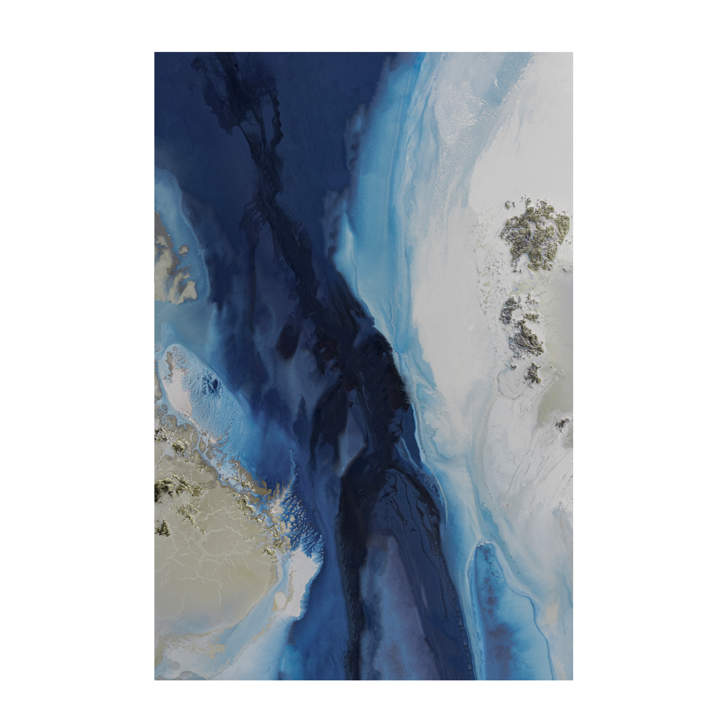 wall-art-print-canvas-poster-framed-Marine Majesty, Style A , By Petra Meikle-1