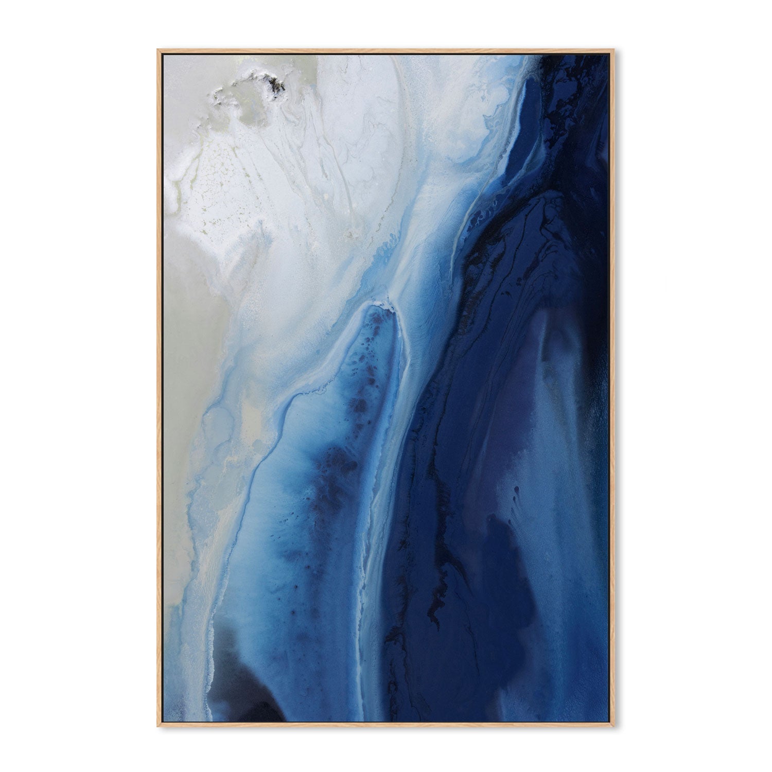 wall-art-print-canvas-poster-framed-Marine Majesty, Style B , By Petra Meikle-4