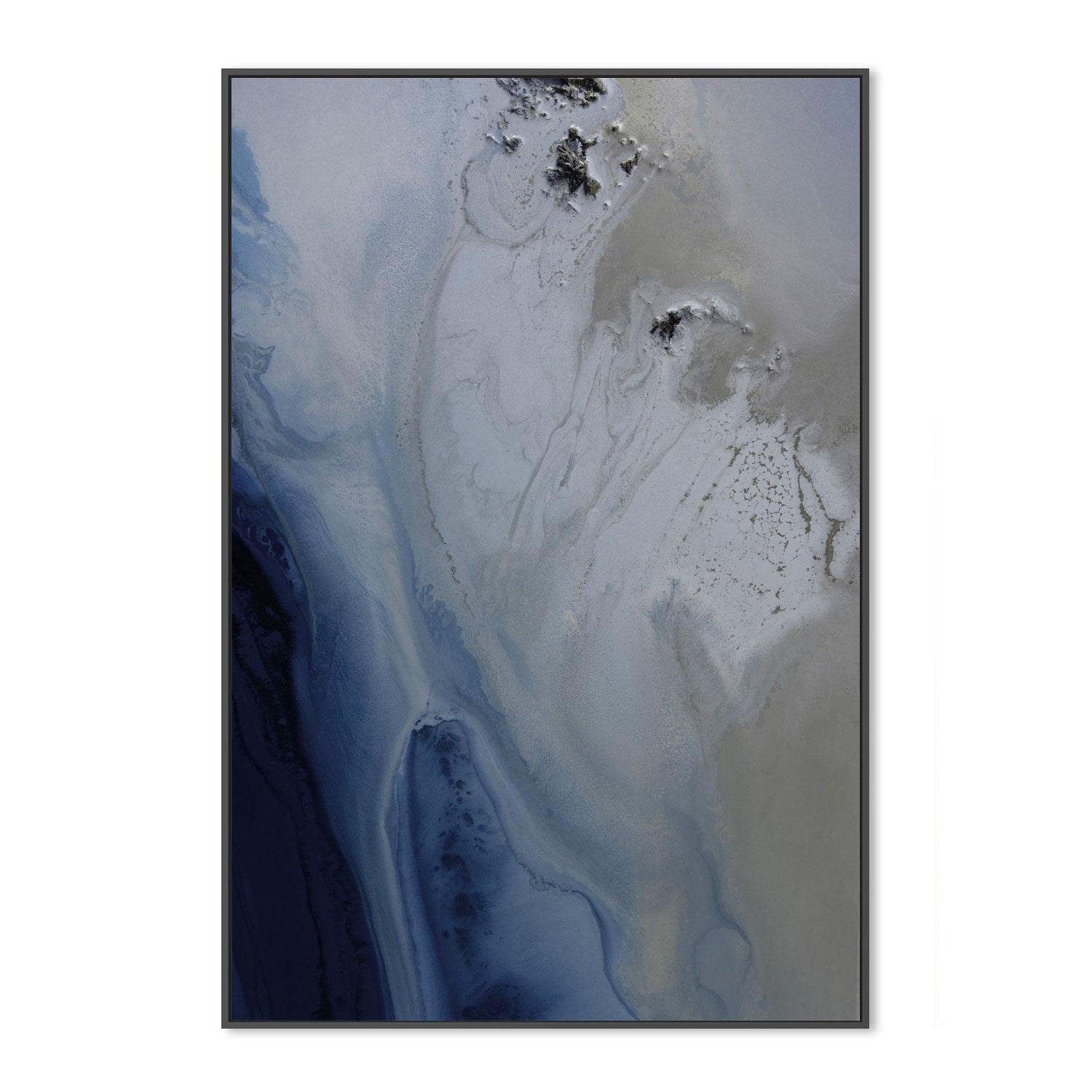 wall-art-print-canvas-poster-framed-Marine Majesty, Style C , By Petra Meikle-3