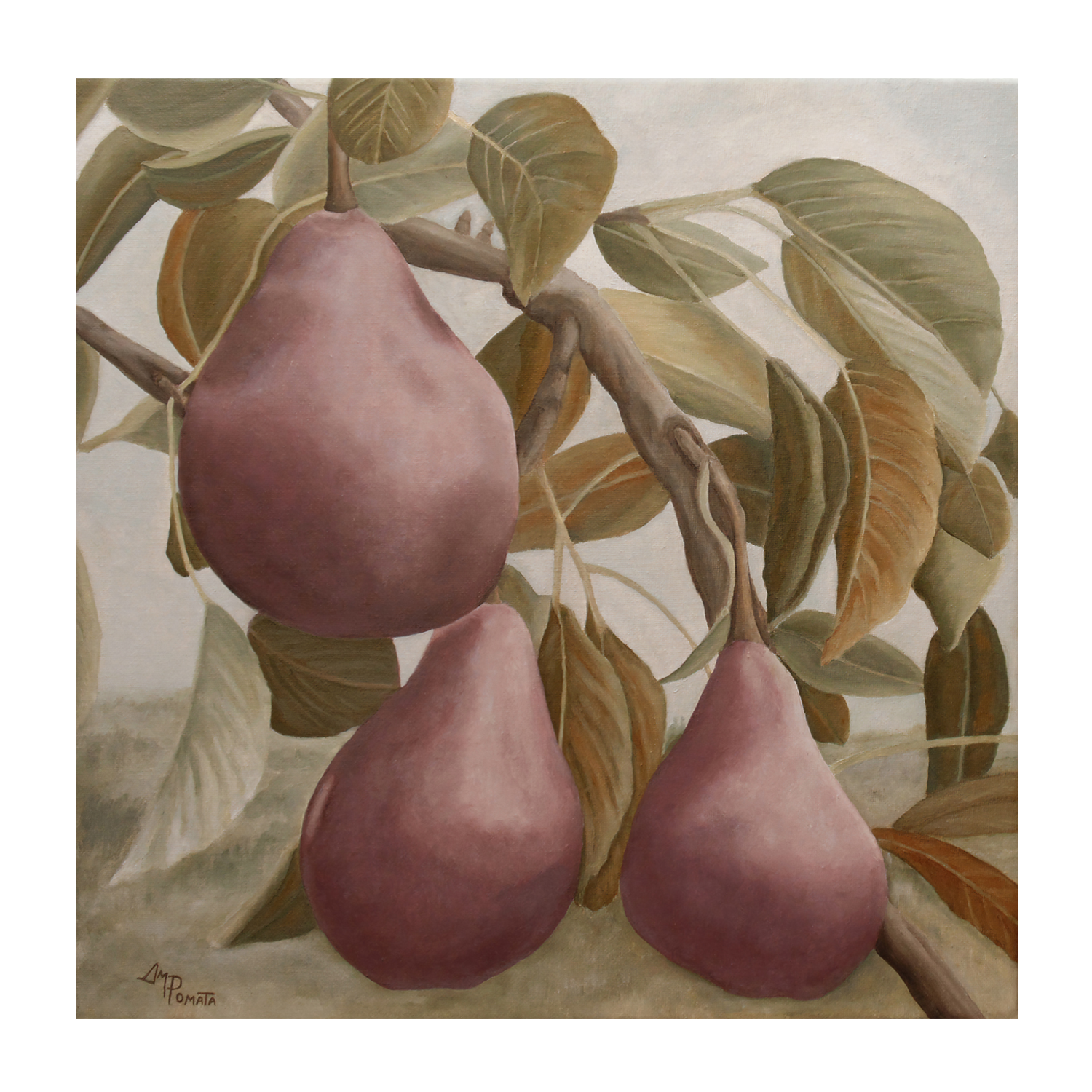 wall-art-print-canvas-poster-framed-Max Red Bartlett Pears , By Pictufy-1