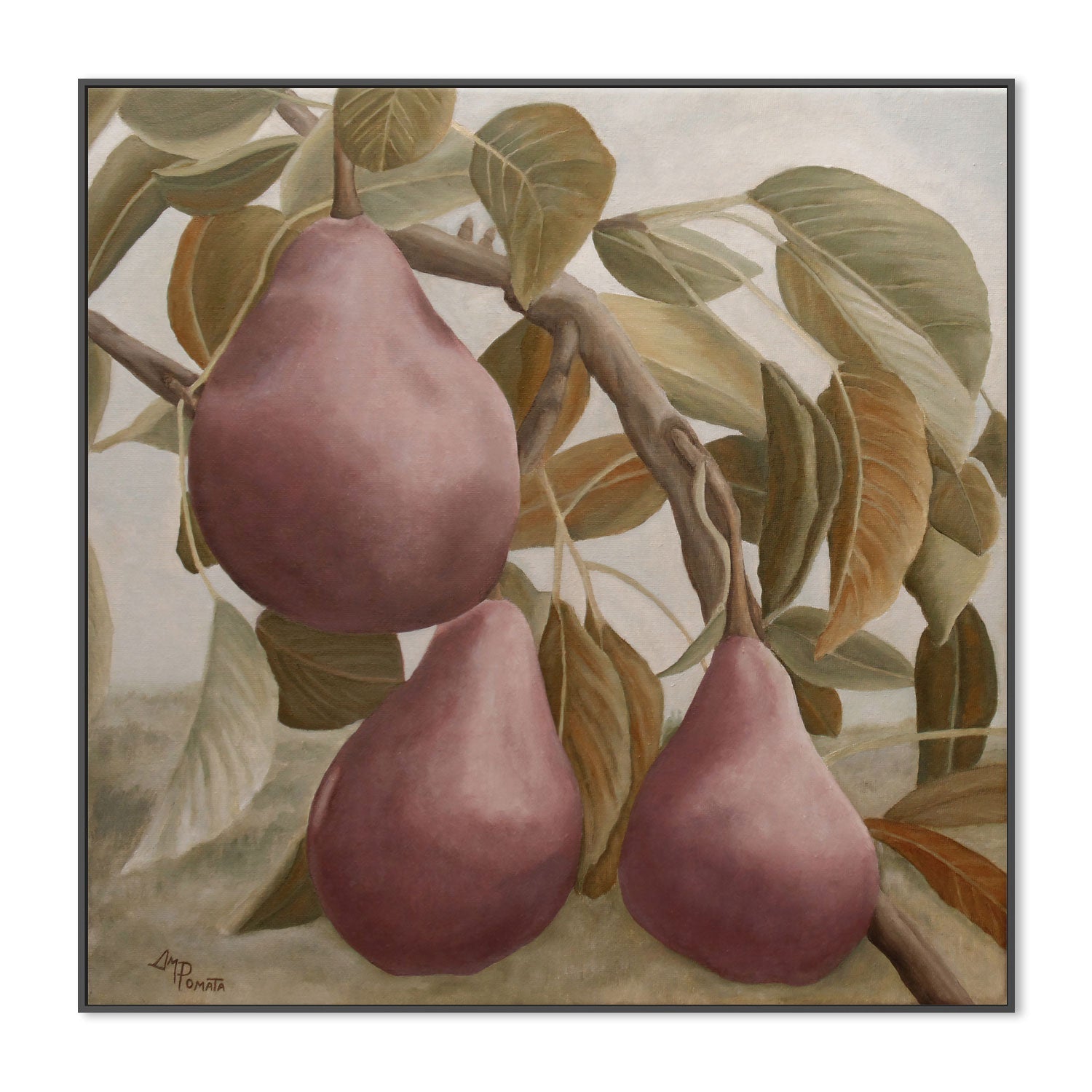 wall-art-print-canvas-poster-framed-Max Red Bartlett Pears , By Pictufy-3