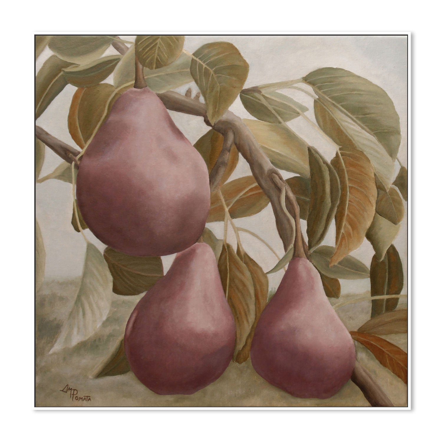 wall-art-print-canvas-poster-framed-Max Red Bartlett Pears , By Pictufy-5