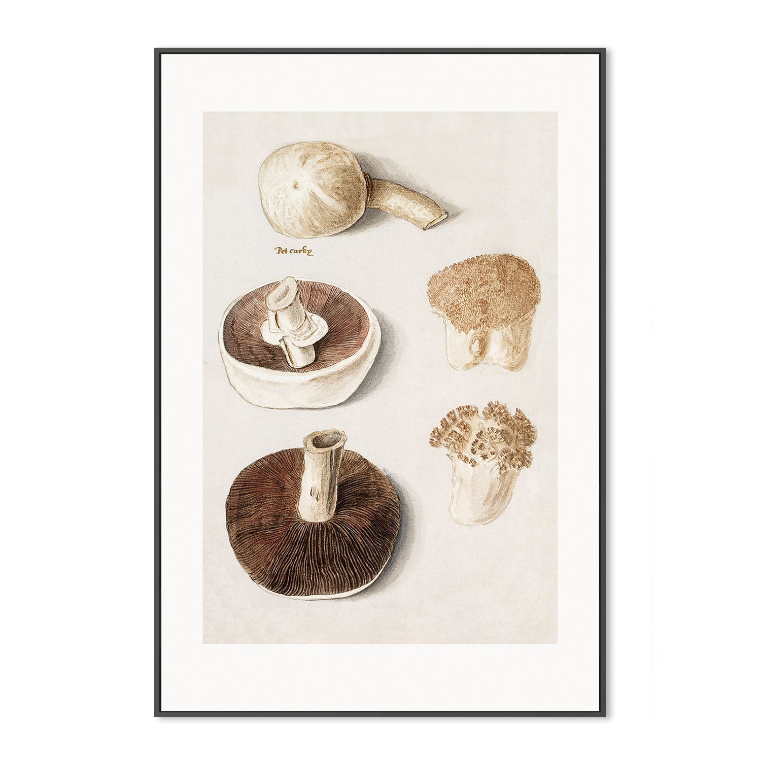 wall-art-print-canvas-poster-framed-Meadow Mushrooms-GIOIA-WALL-ART