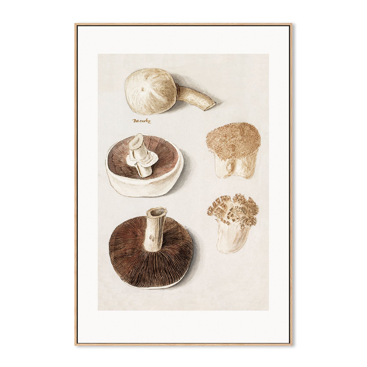 wall-art-print-canvas-poster-framed-Meadow Mushrooms-GIOIA-WALL-ART