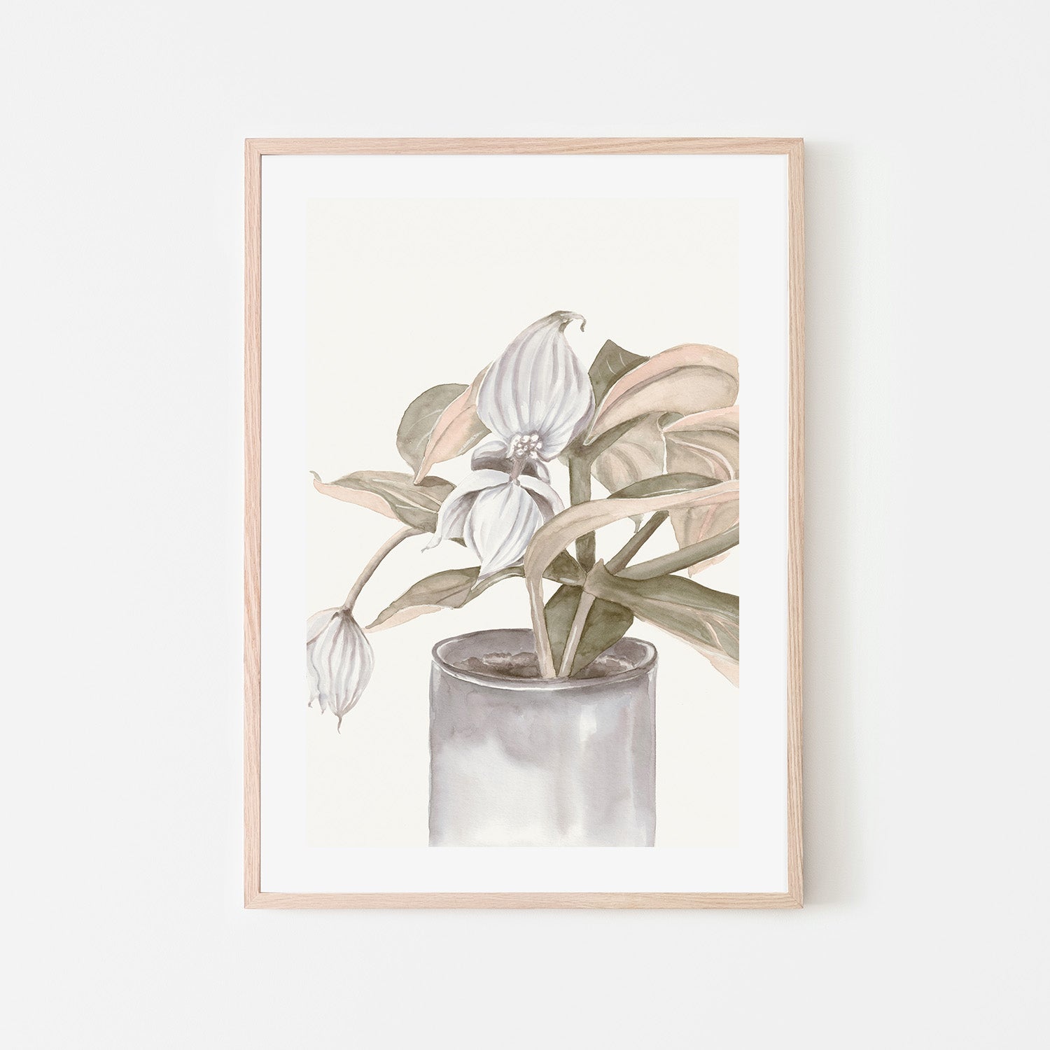 wall-art-print-canvas-poster-framed-Medinilla Magnifica-6