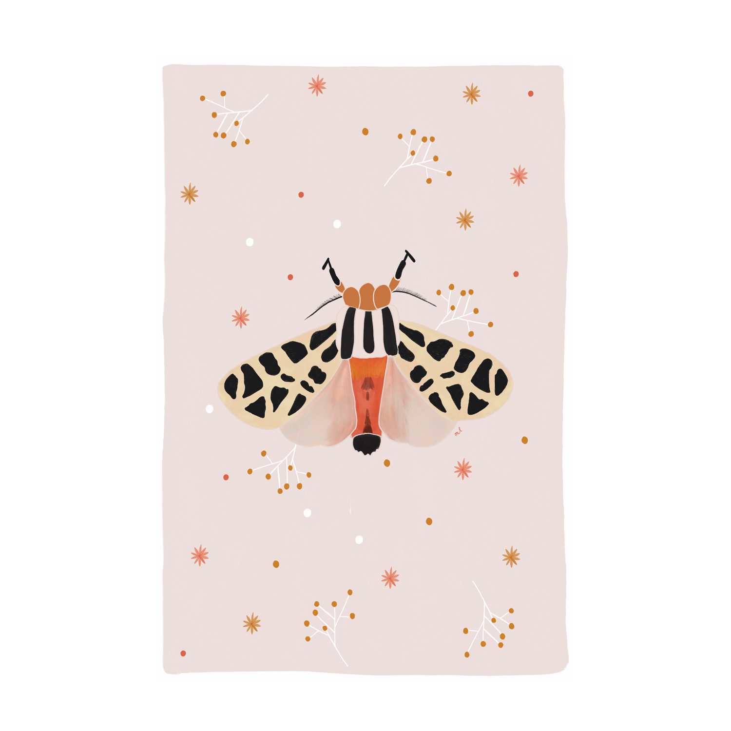 wall-art-print-canvas-poster-framed-Mexican Tiger Moth , By Menina Lisboa-1