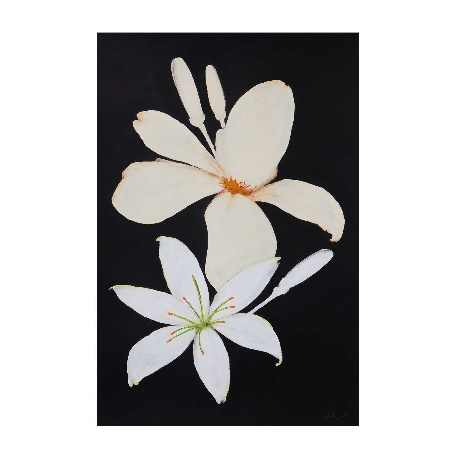 wall-art-print-canvas-poster-framed-Midnight Florals, Style B , By Filippoloco-1