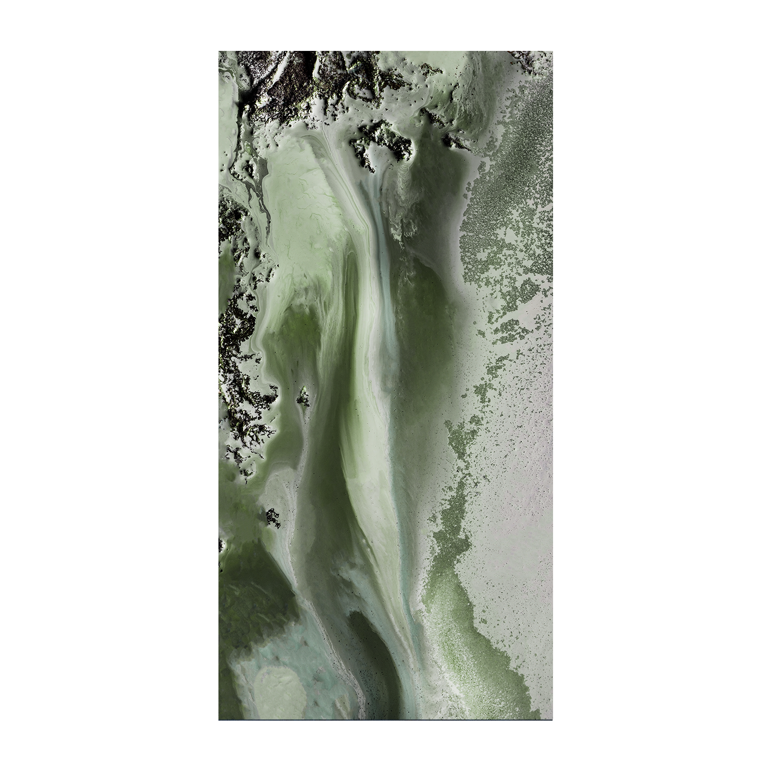 wall-art-print-canvas-poster-framed-Midnight Mirage , By Petra Meikle-1