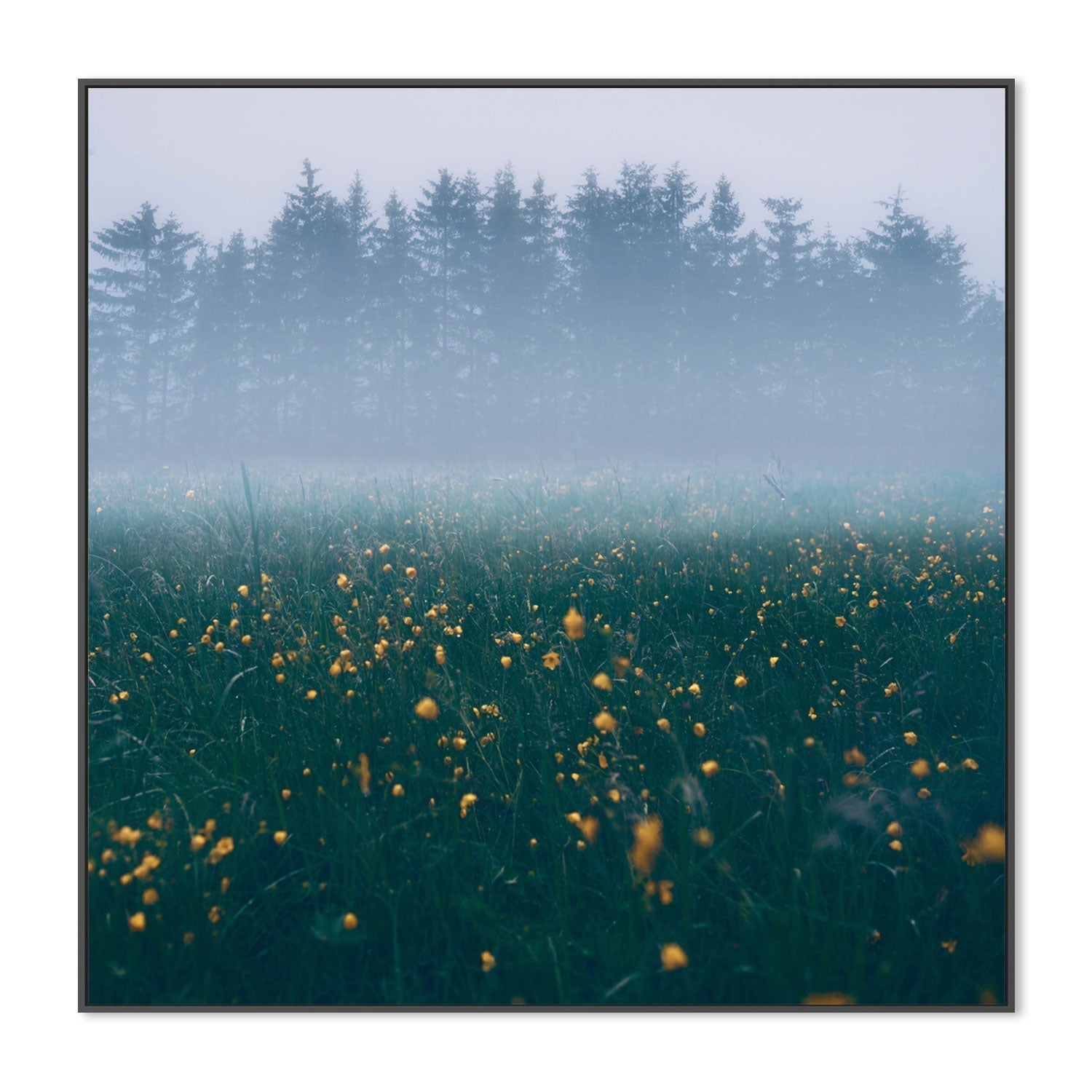 wall-art-print-canvas-poster-framed-Misty Winter Morning , By Christian Lindsten-GIOIA-WALL-ART