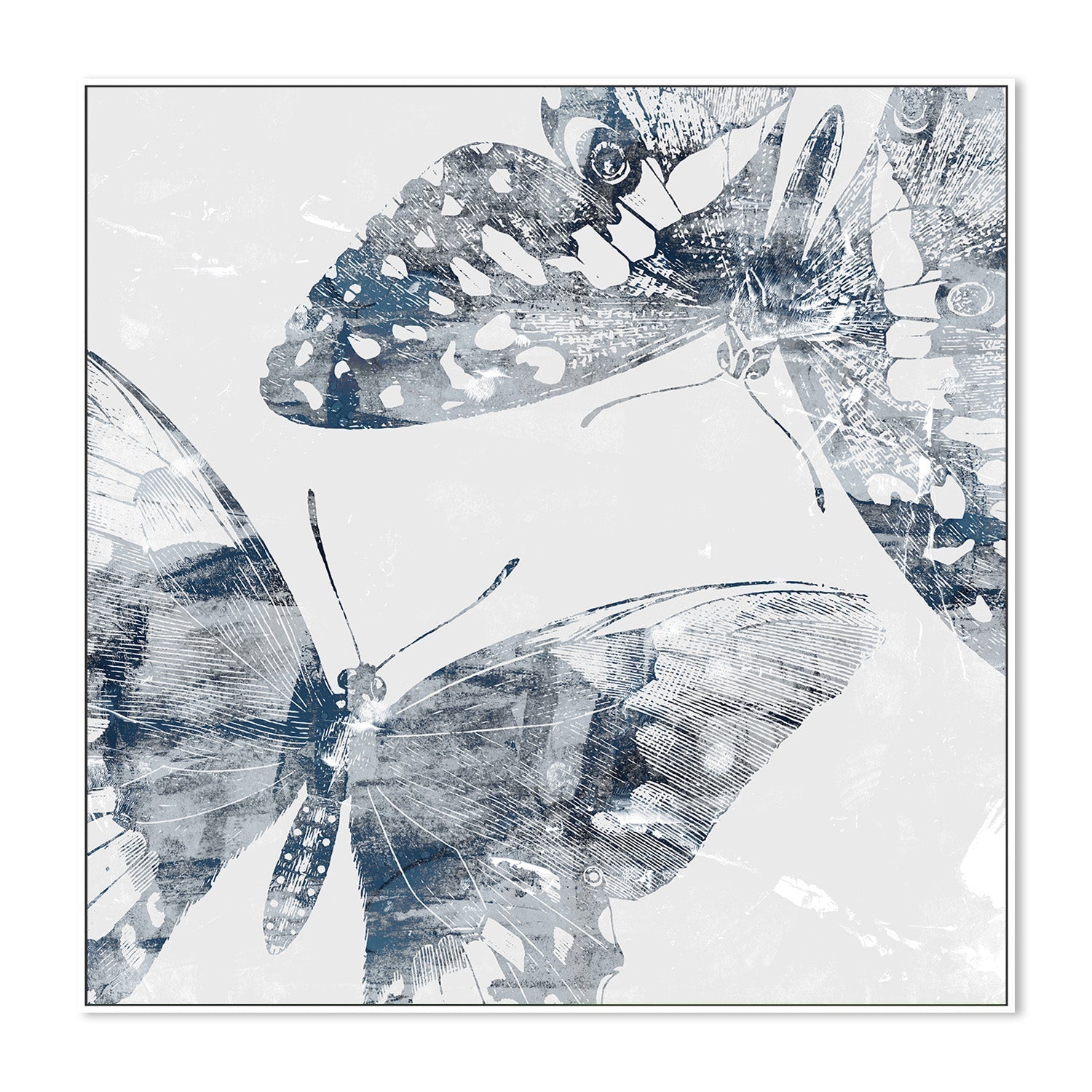 wall-art-print-canvas-poster-framed-Modern Butterflies, Style C-5