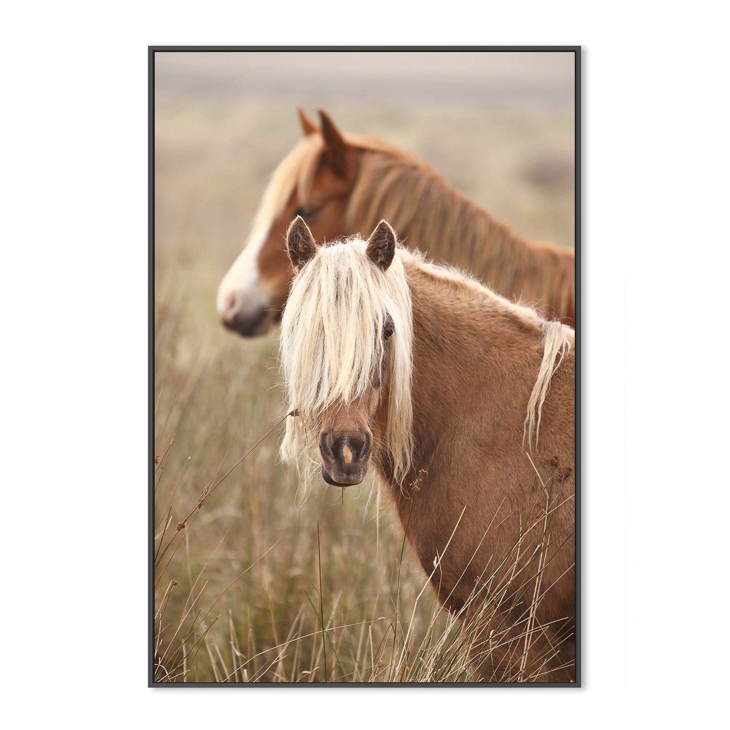 wall-art-print-canvas-poster-framed-Molly, Style B , By Belinda Gerace-3
