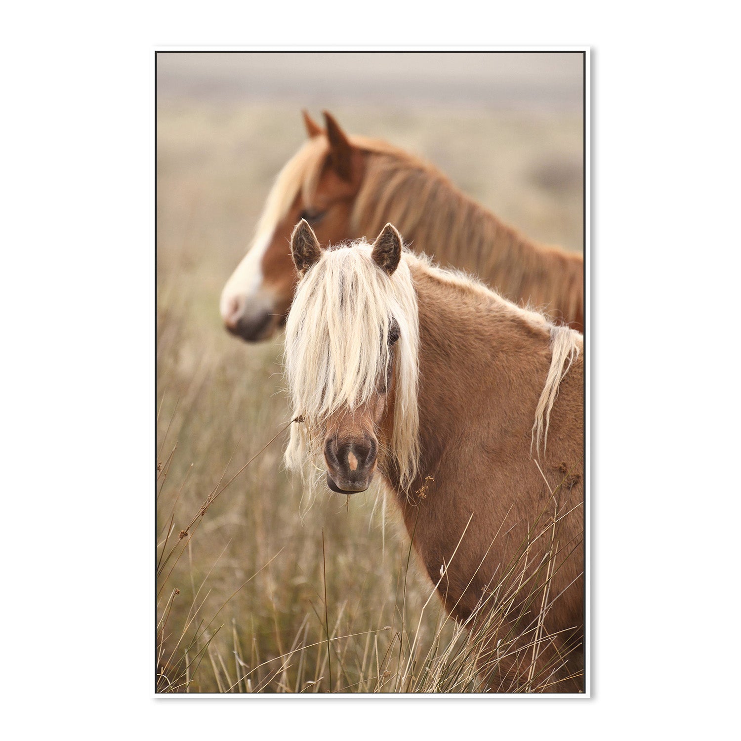 wall-art-print-canvas-poster-framed-Molly, Style B , By Belinda Gerace-5