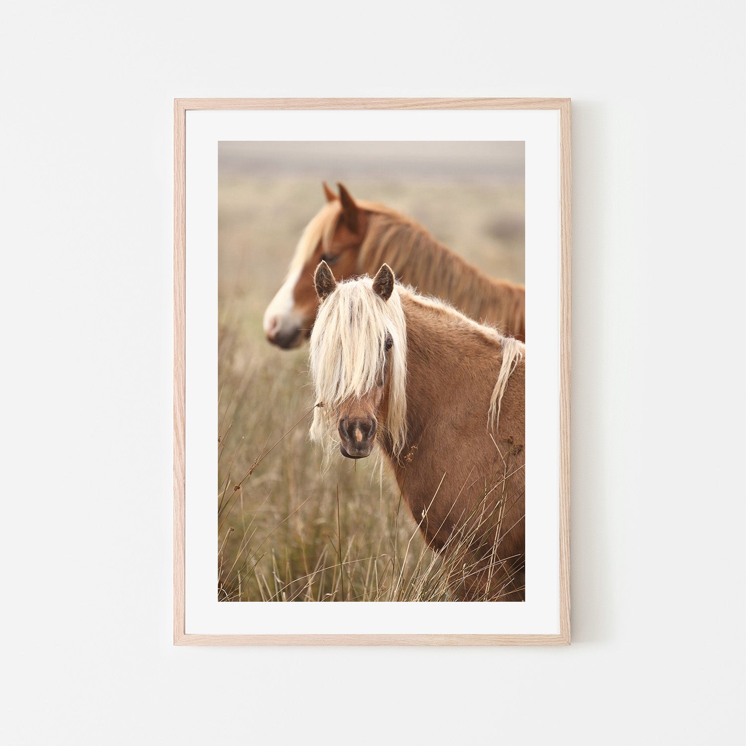 wall-art-print-canvas-poster-framed-Molly, Style B , By Belinda Gerace-6