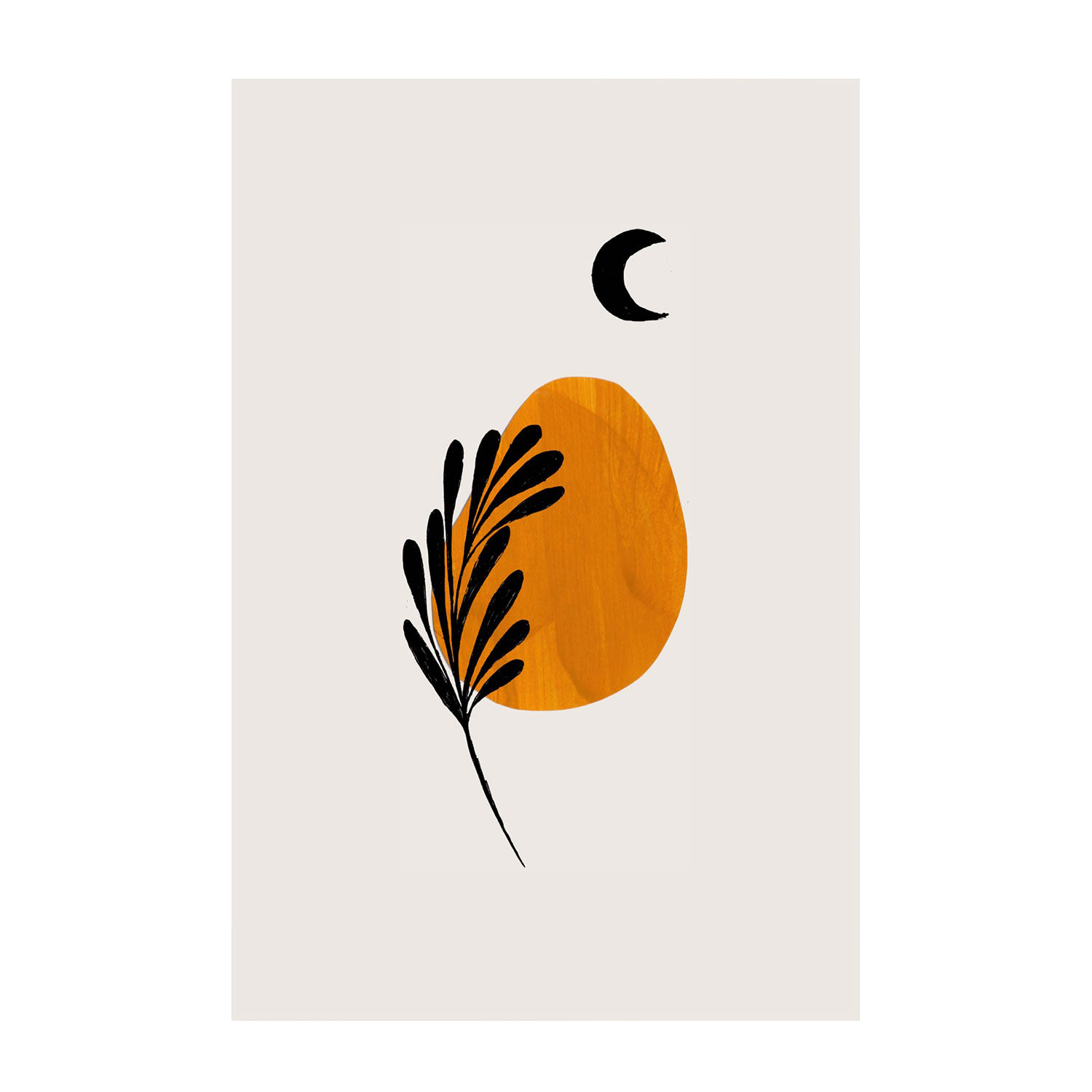 Moon Branch