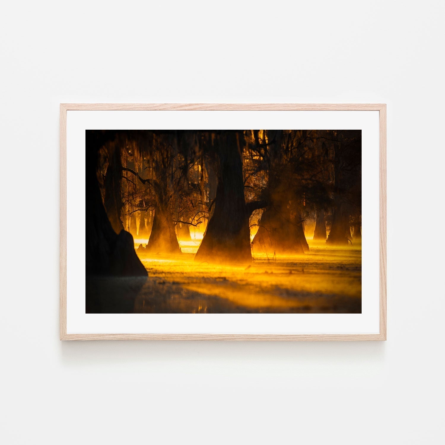 wall-art-print-canvas-poster-framed-Morning Light, By Michael Zheng-GIOIA-WALL-ART
