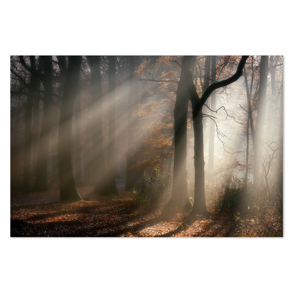 Morning Walk, by Liliane Lathouwers-Framed-Canvas-Print-Poster-Gioia Wall Art