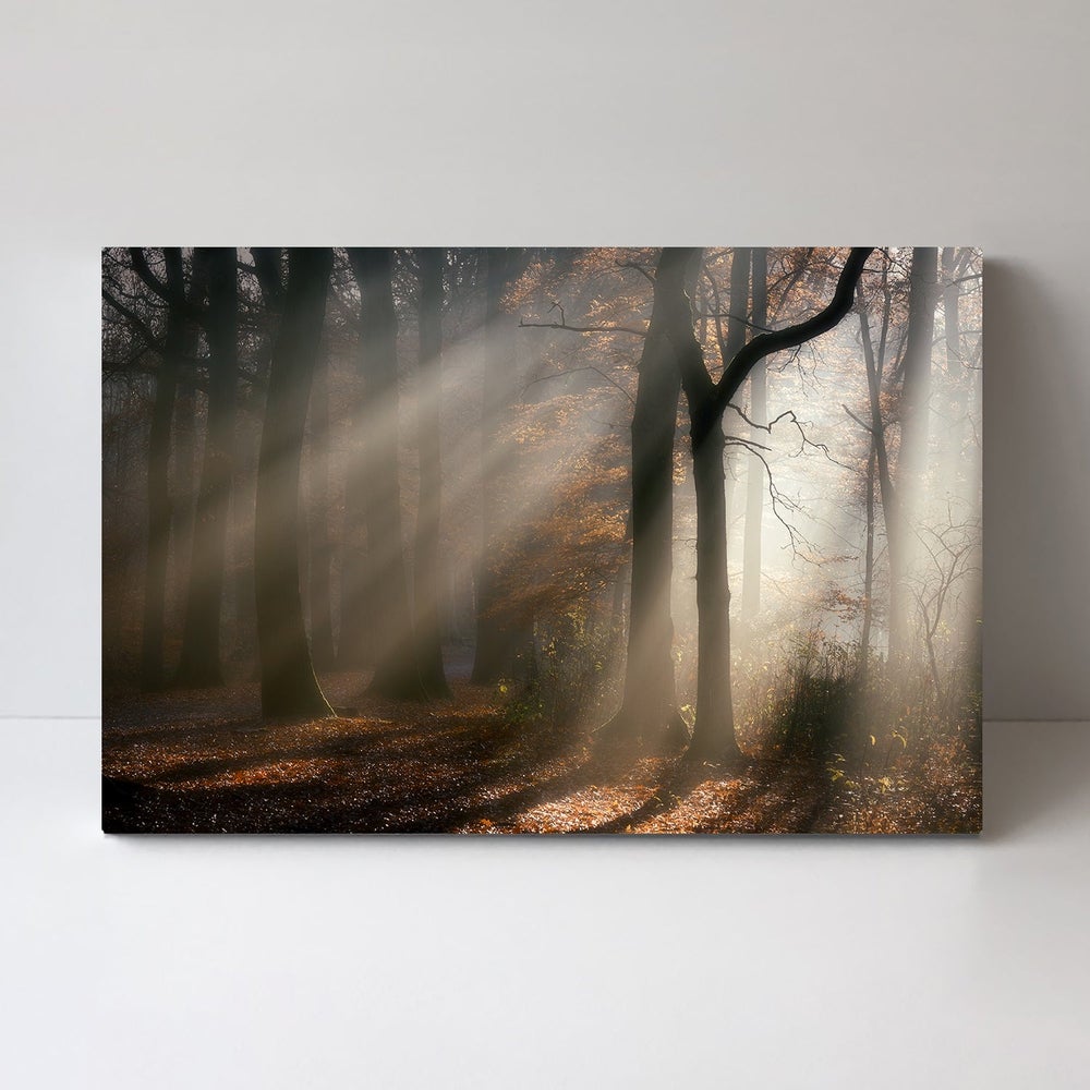 Morning Walk, by Liliane Lathouwers-Framed-Canvas-Print-Poster-Gioia Wall Art