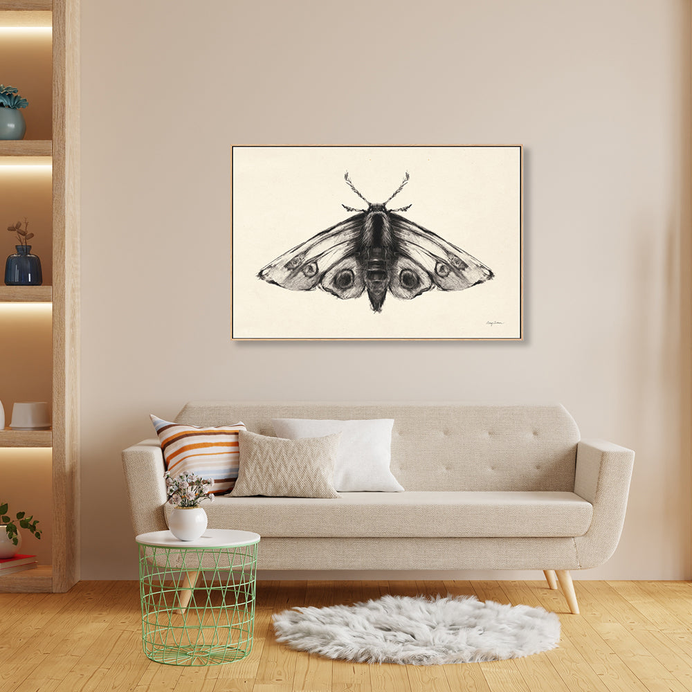 wall-art-print-canvas-poster-framed-Moth, Style A , By Avery Tillmon-GIOIA-WALL-ART