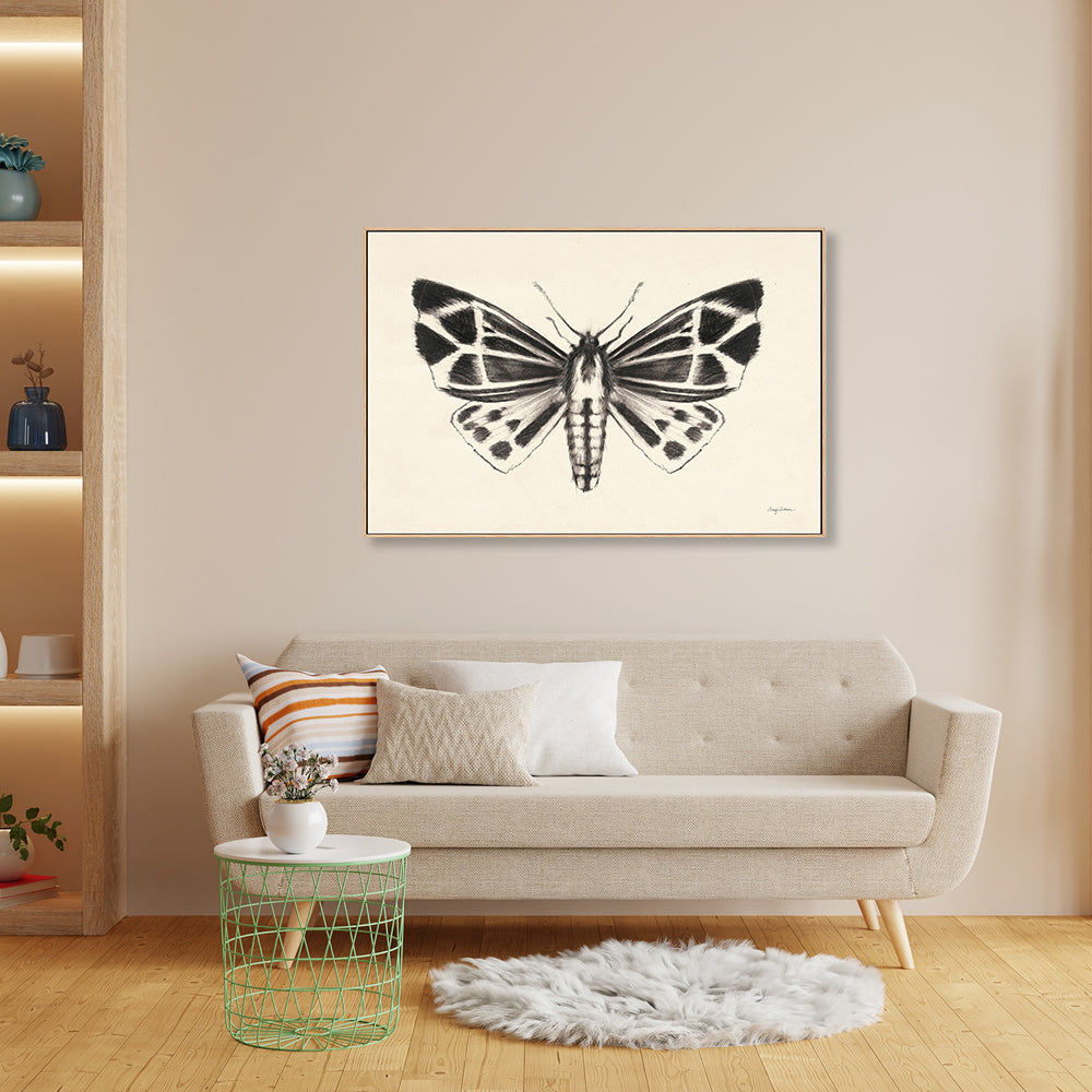 wall-art-print-canvas-poster-framed-Moth, Style B , By Avery Tillmon-GIOIA-WALL-ART