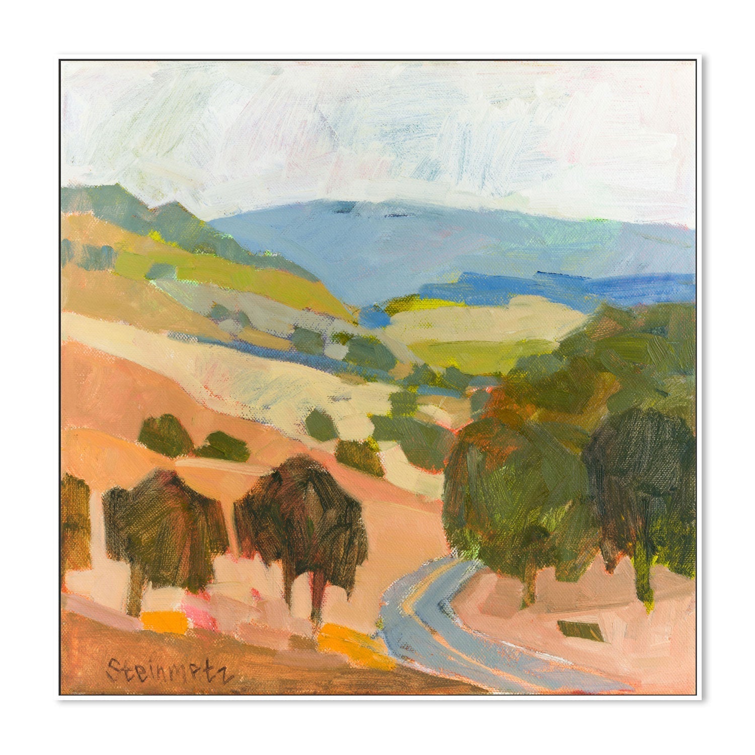 wall-art-print-canvas-poster-framed-Mountain House Road , By Liana Steinmetz-5