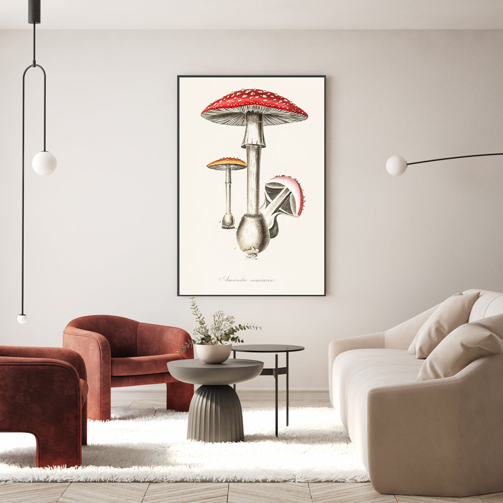 wall-art-print-canvas-poster-framed-Muscimol Mushrooms-GIOIA-WALL-ART