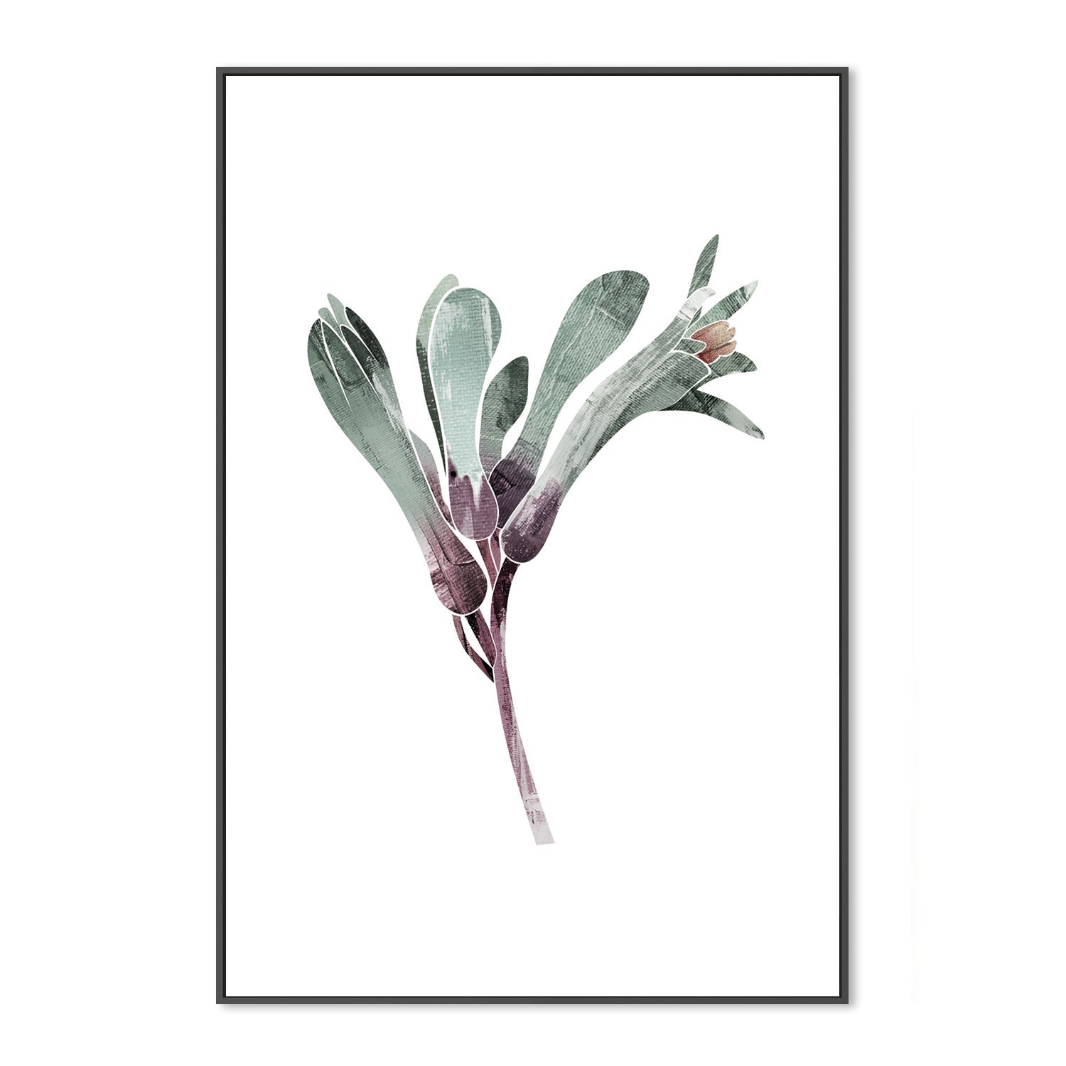 wall-art-print-canvas-poster-framed-Native Kangaroo Paw-by-Dear Musketeer Studio-Gioia Wall Art