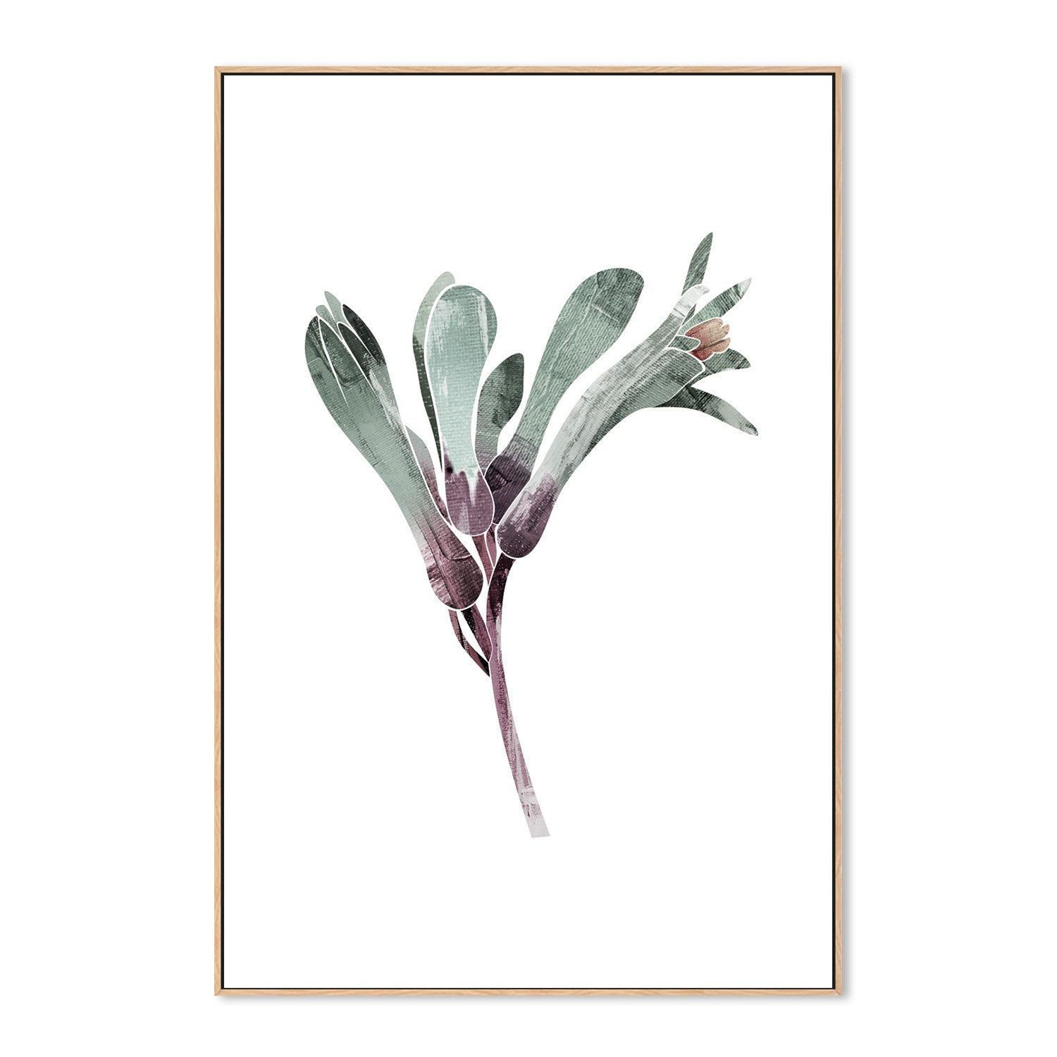 wall-art-print-canvas-poster-framed-Native Kangaroo Paw-by-Dear Musketeer Studio-Gioia Wall Art