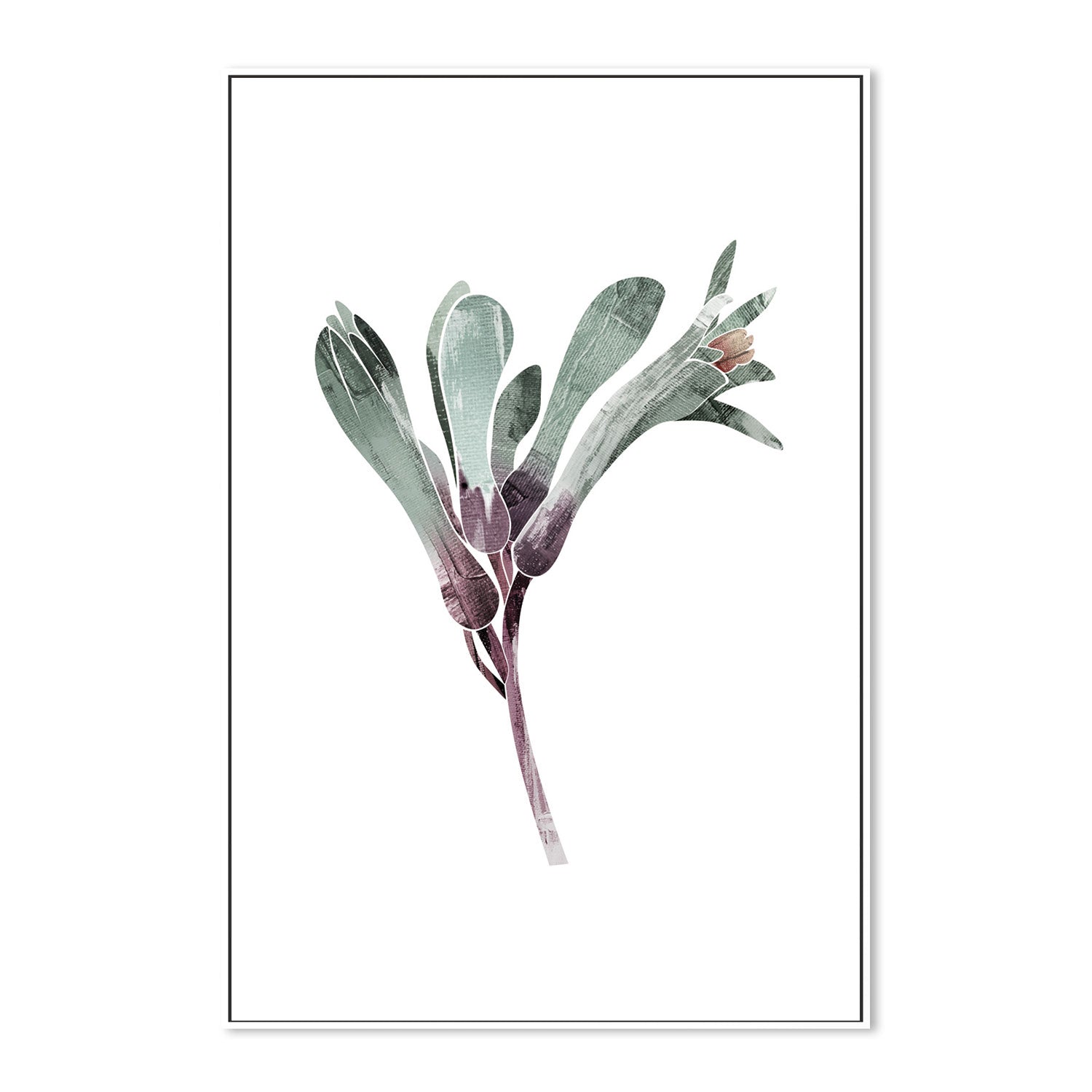 wall-art-print-canvas-poster-framed-Native Kangaroo Paw-by-Dear Musketeer Studio-Gioia Wall Art
