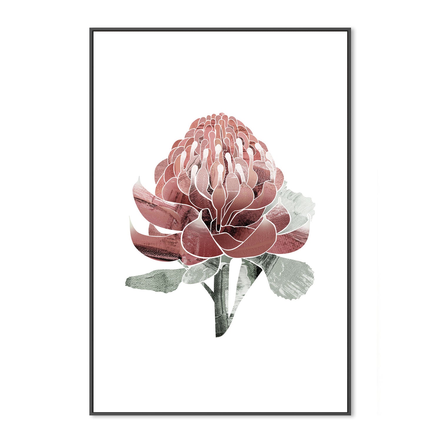 wall-art-print-canvas-poster-framed-Native Waratah-by-Dear Musketeer Studio-Gioia Wall Art