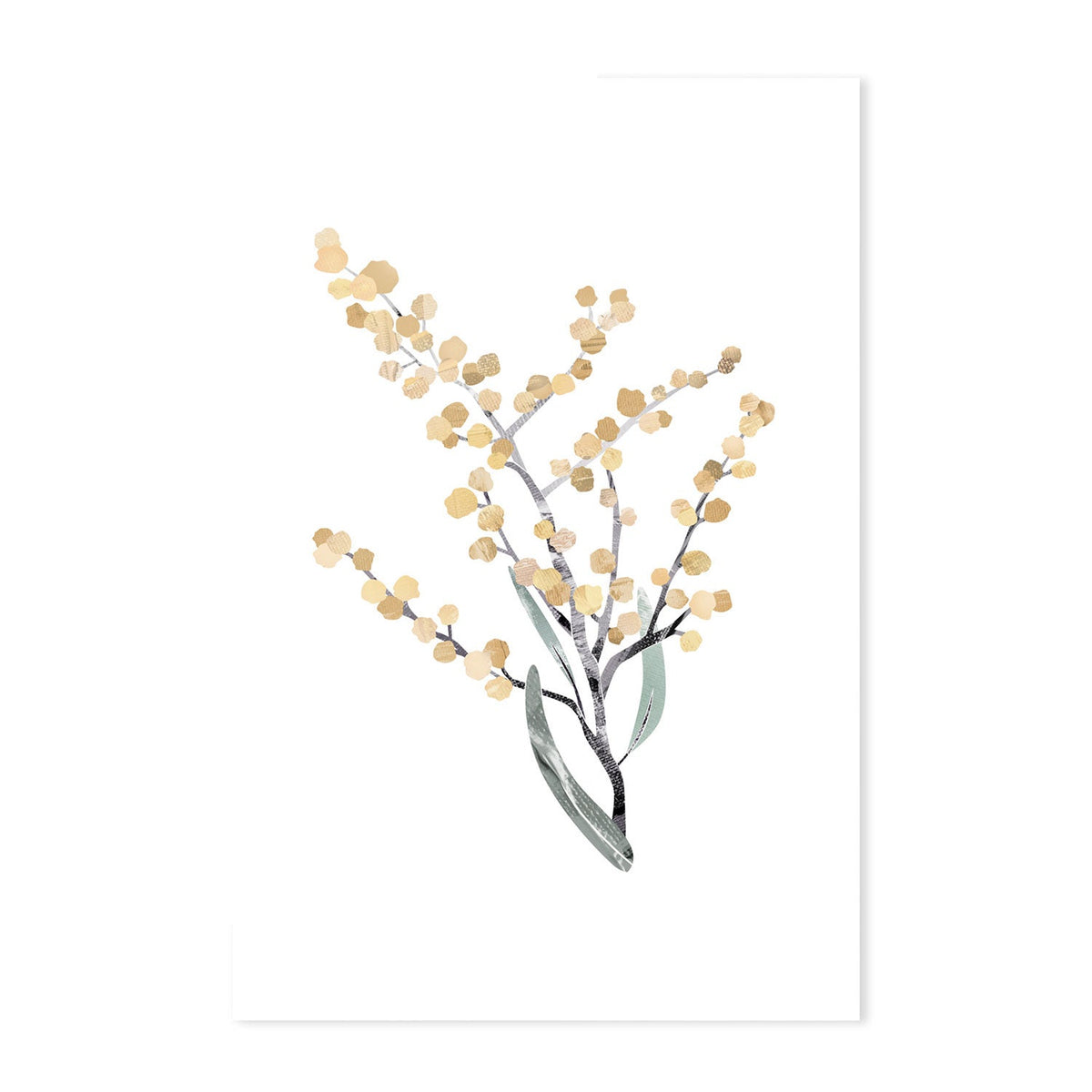 wall-art-print-canvas-poster-framed-Native Wattle-by-Dear Musketeer Studio-Gioia Wall Art