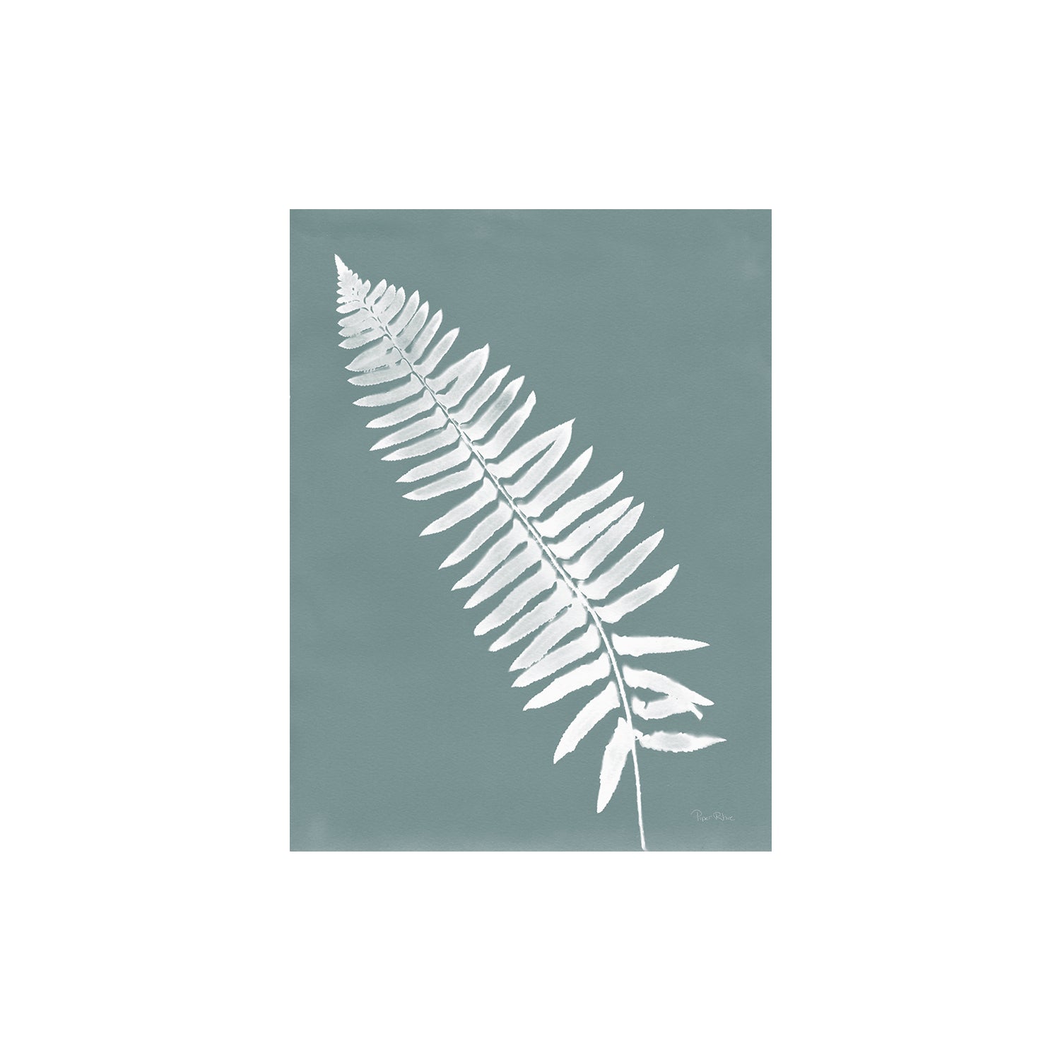wall-art-print-canvas-poster-framed-Nature by the Lake Ferns IV Gray Mist , By Piper Rhue-1