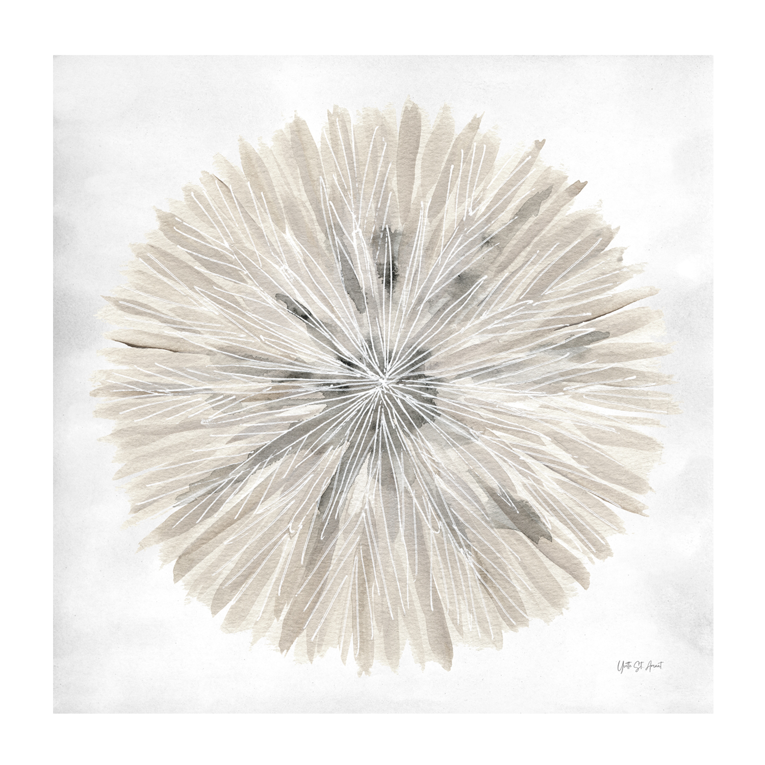 wall-art-print-canvas-poster-framed-Natures Pinwheel, Style A , By Yvette St. Amant-1