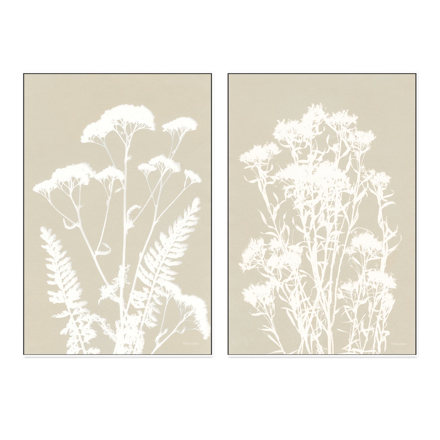 wall-art-print-canvas-poster-framed-Neutral Alpine Flowers, Style A & B, Set Of 2 , By Kathy Ferguson-GIOIA-WALL-ART