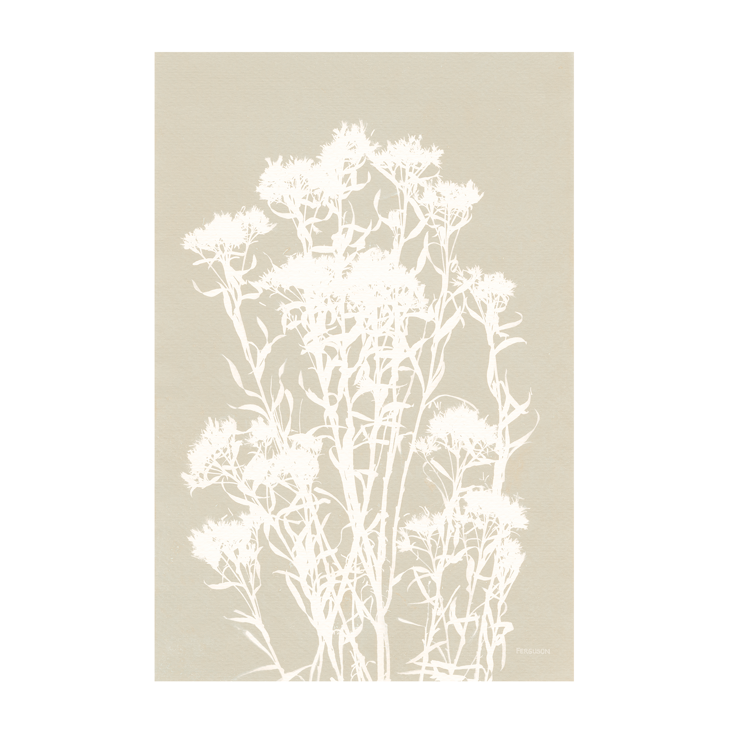 Neutral Alpine Flowers, Style B , By Kathy Ferguson