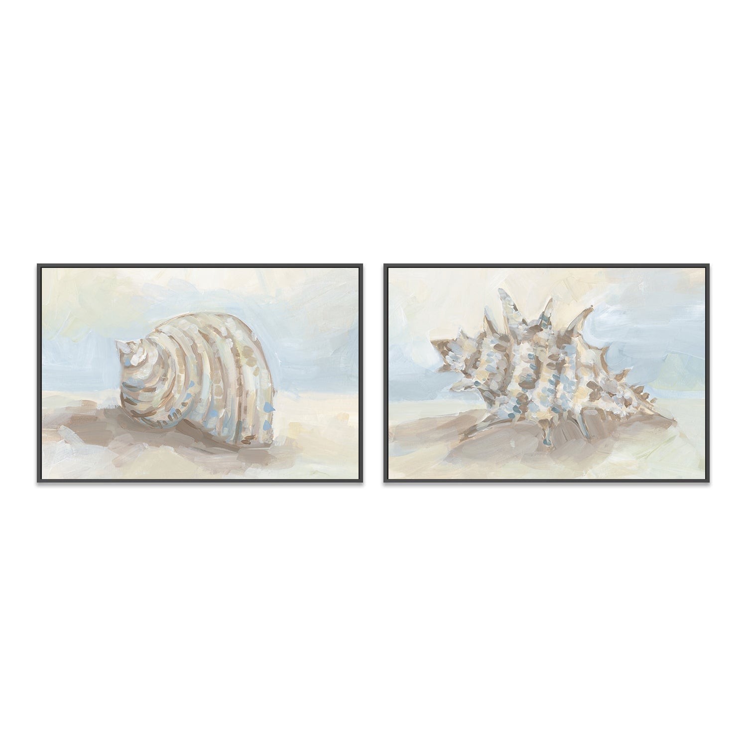 wall-art-print-canvas-poster-framed-Neutral Coastal Seashell , Style A & B, Set Of 2 , By Jetty Home-3