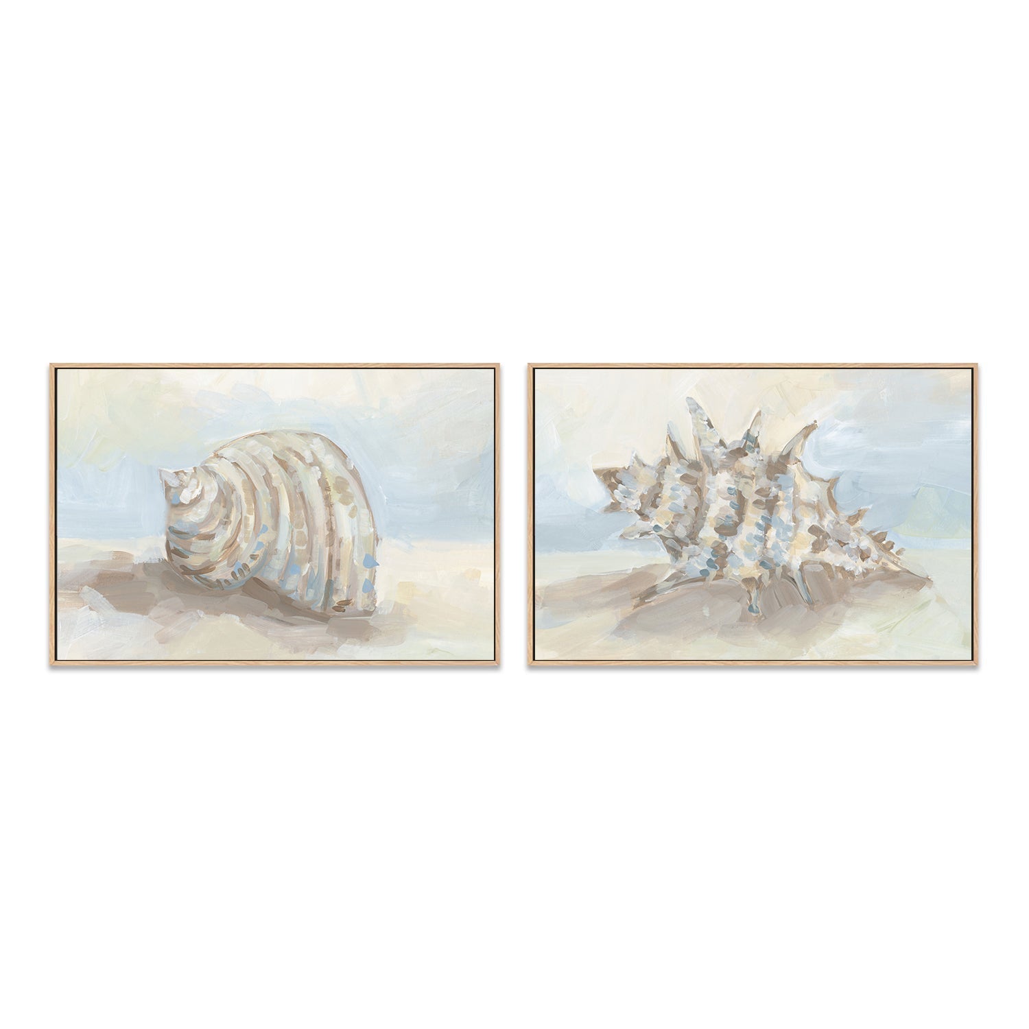wall-art-print-canvas-poster-framed-Neutral Coastal Seashell , Style A & B, Set Of 2 , By Jetty Home-4