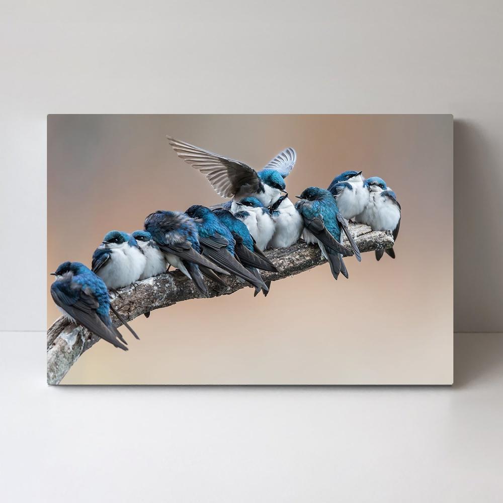wall-art-print-canvas-poster-framed-No Room? No Problem. I Will Make Myself Some Room, By Cheng Cheng-by-Plus X Studio-Gioia Wall Art