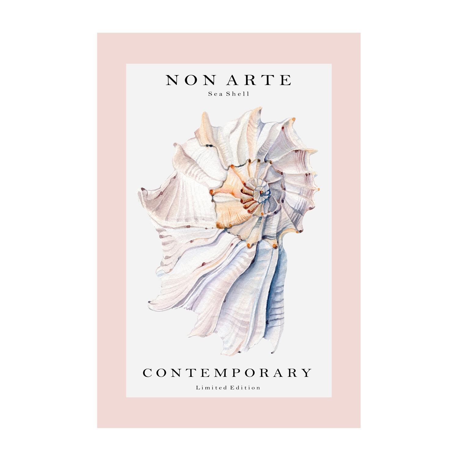 wall-art-print-canvas-poster-framed-Non Arte Sea Shell-GIOIA-WALL-ART