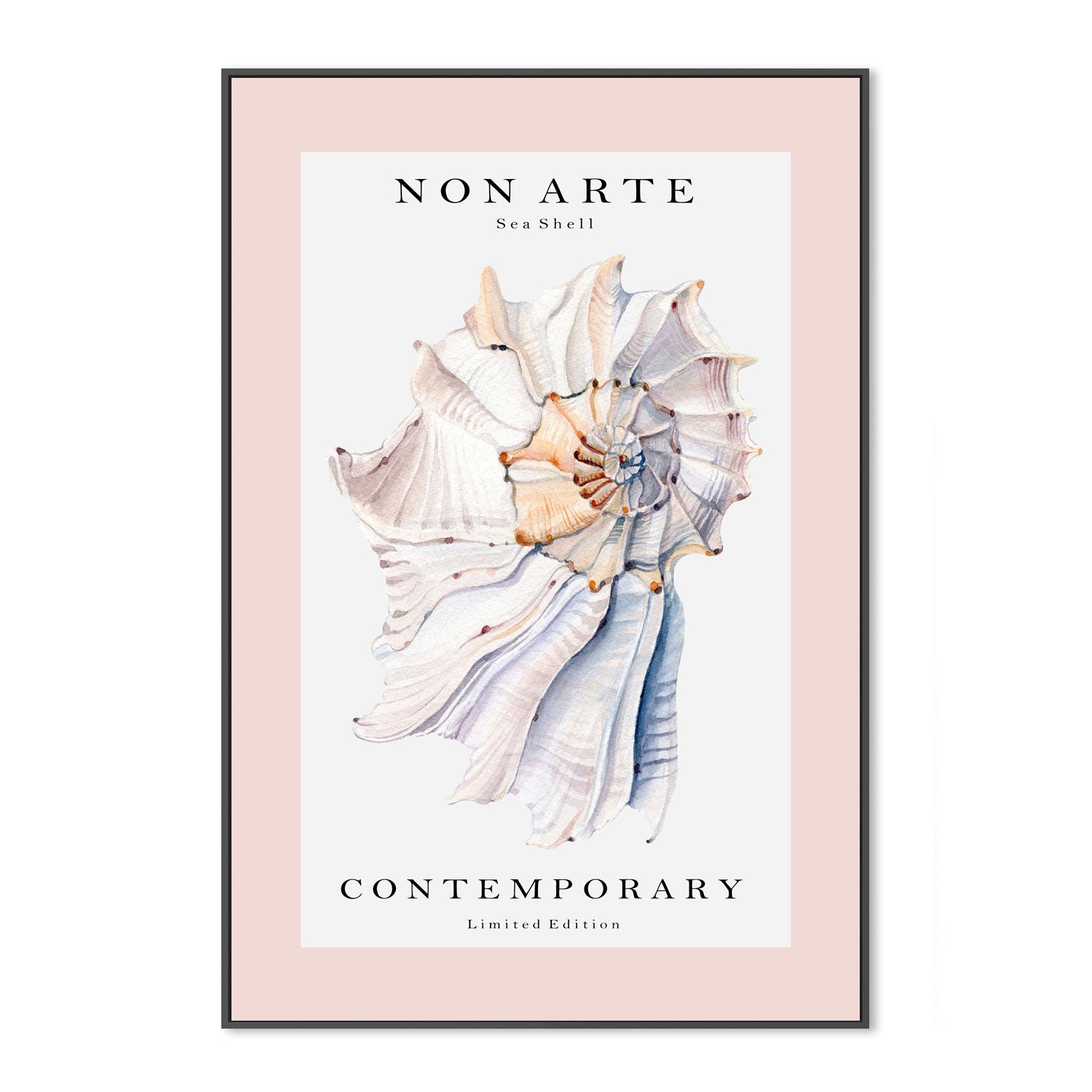 wall-art-print-canvas-poster-framed-Non Arte Sea Shell-GIOIA-WALL-ART