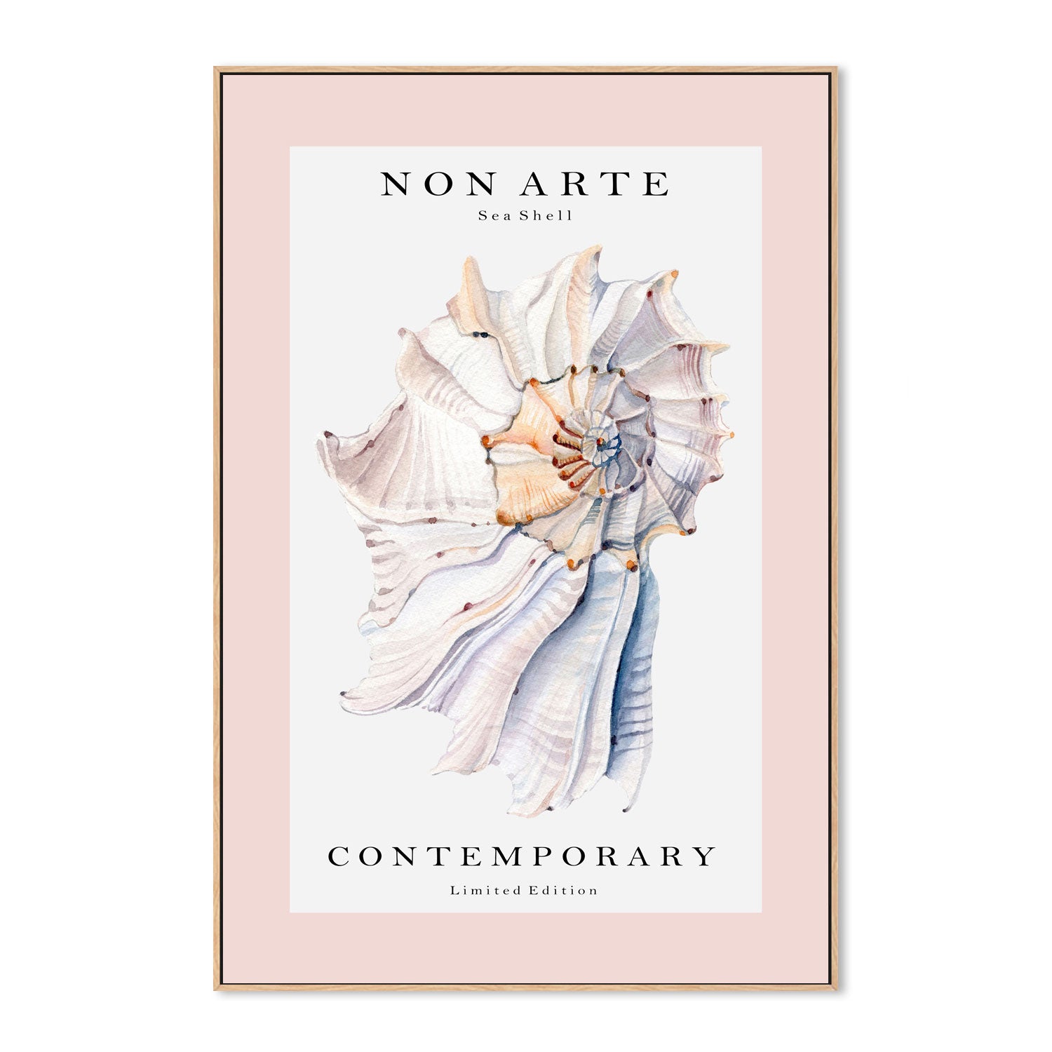 wall-art-print-canvas-poster-framed-Non Arte Sea Shell-GIOIA-WALL-ART