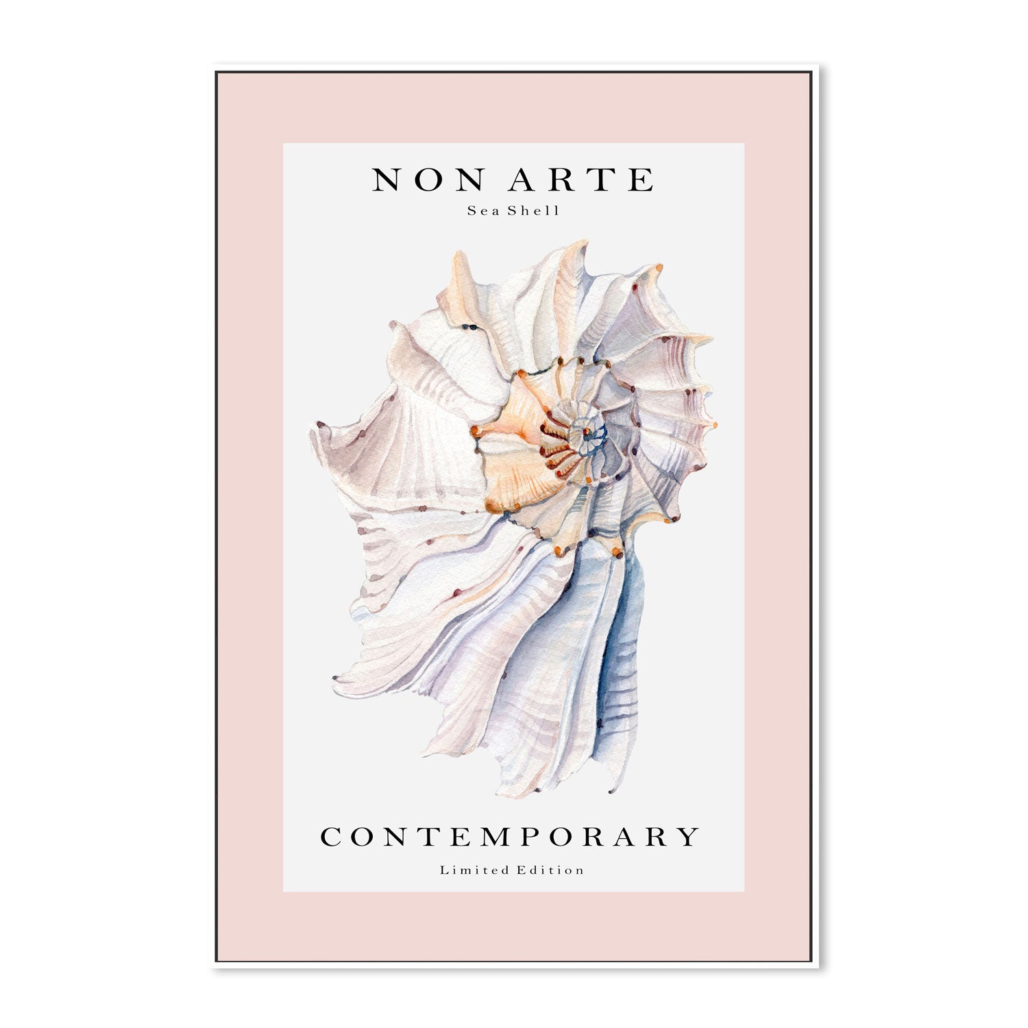 wall-art-print-canvas-poster-framed-Non Arte Sea Shell-GIOIA-WALL-ART