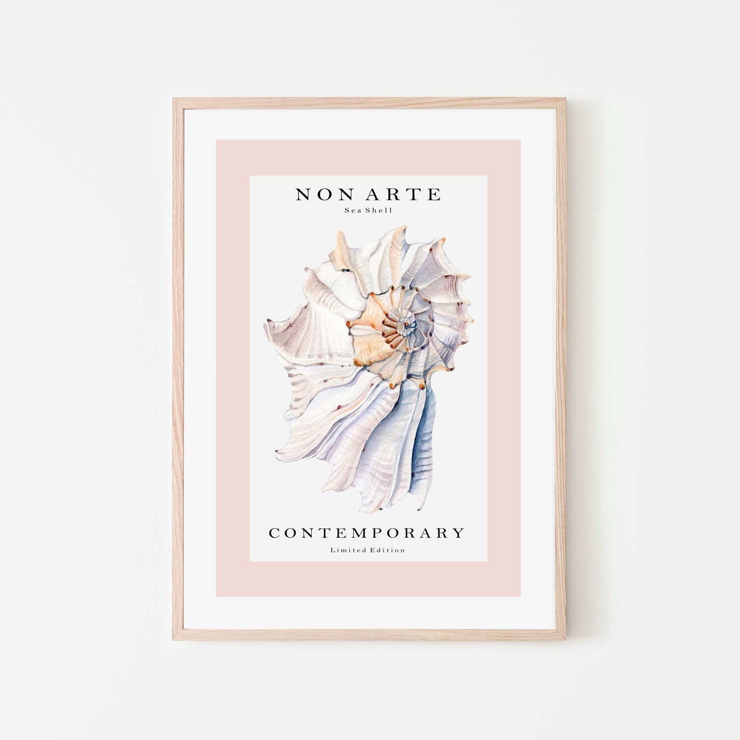 wall-art-print-canvas-poster-framed-Non Arte Sea Shell-GIOIA-WALL-ART