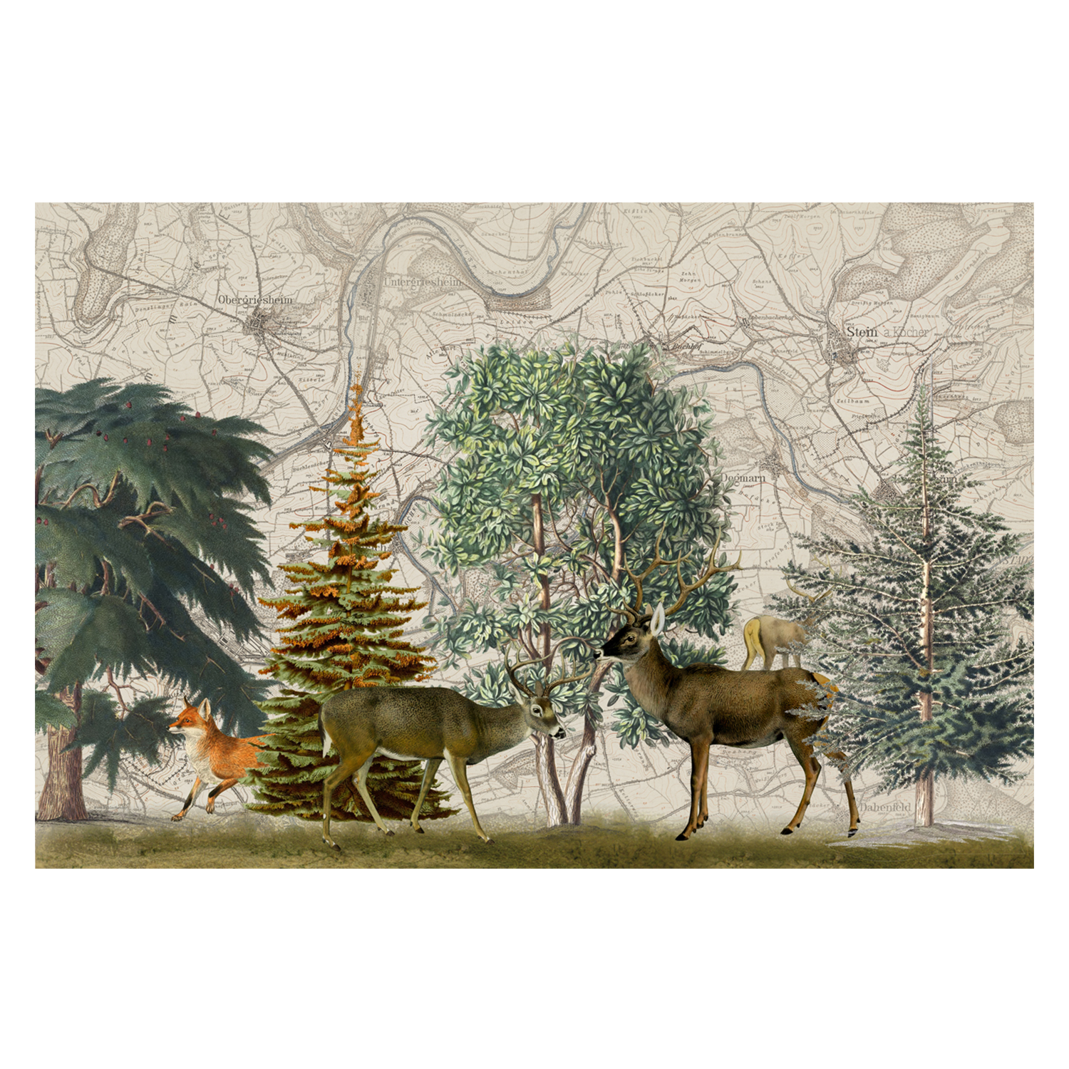 wall-art-print-canvas-poster-framed-Nordic Woods, Style A, By Andrea Haase-GIOIA-WALL-ART