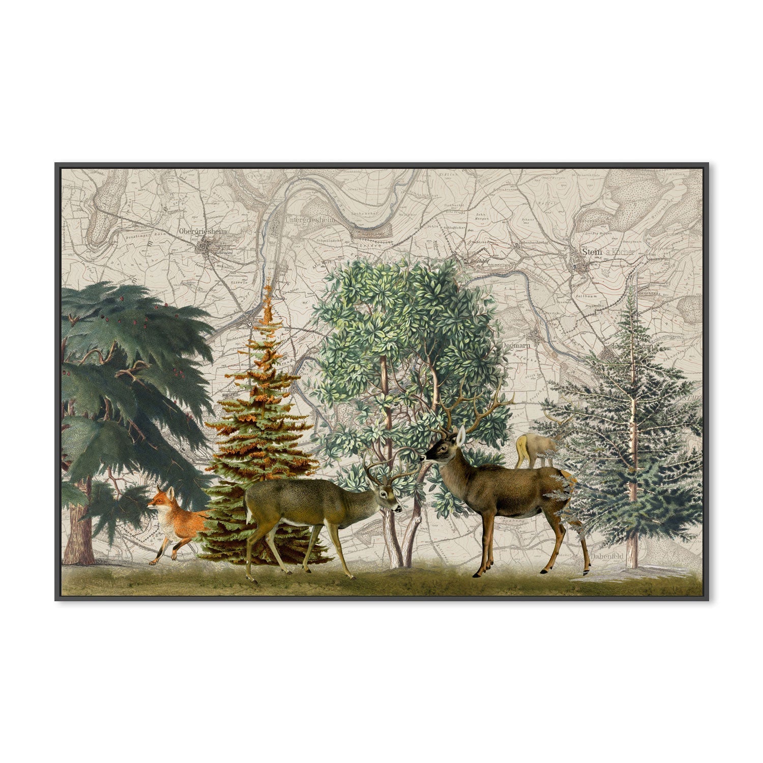 wall-art-print-canvas-poster-framed-Nordic Woods, Style A, By Andrea Haase-GIOIA-WALL-ART