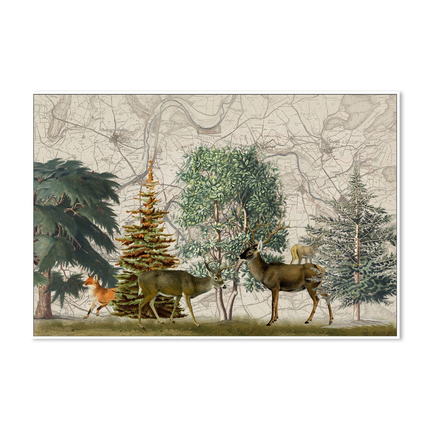 wall-art-print-canvas-poster-framed-Nordic Woods, Style A, By Andrea Haase-GIOIA-WALL-ART