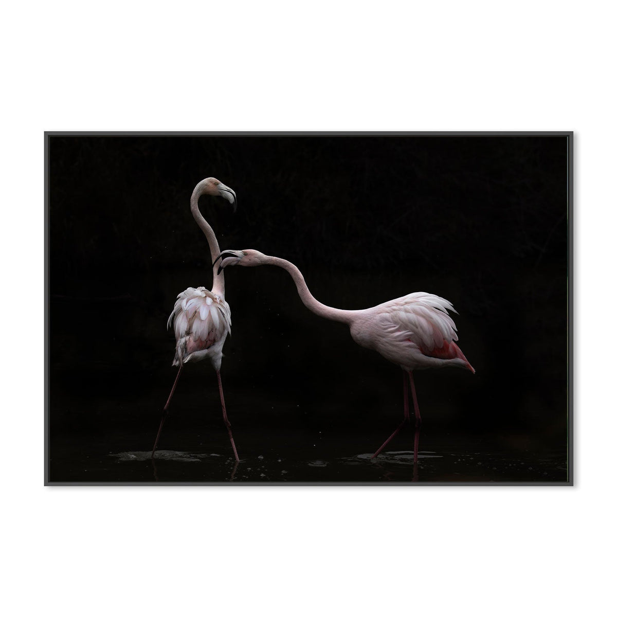 wall-art-print-canvas-poster-framed-Not All Is Rosy, by Martine Benezech-by-Plus X Studio-Gioia Wall Art