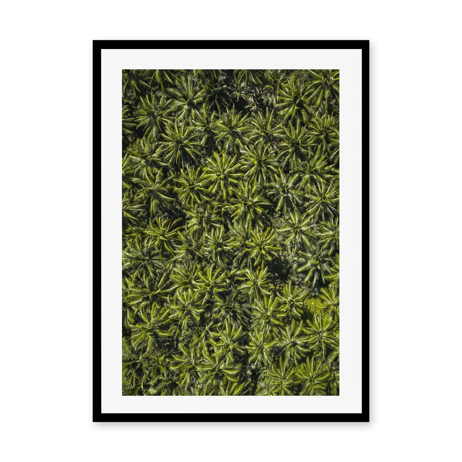 wall-art-print-canvas-poster-framed-Oasis , By Max Lissendon-GIOIA-WALL-ART