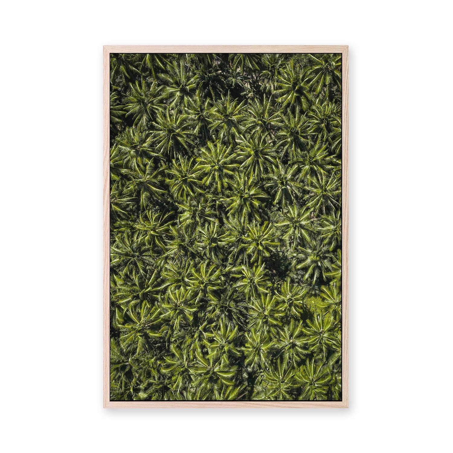 wall-art-print-canvas-poster-framed-Oasis , By Max Lissendon-GIOIA-WALL-ART