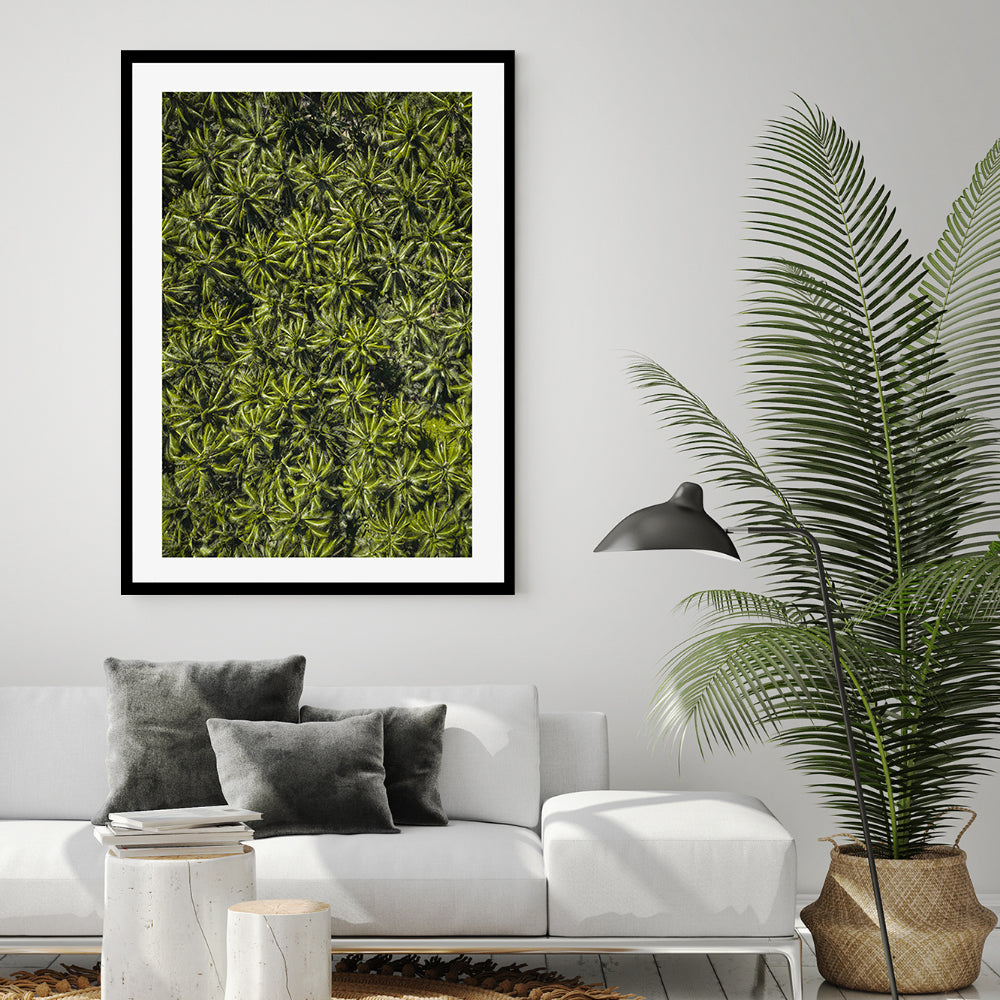 wall-art-print-canvas-poster-framed-Oasis , By Max Lissendon-GIOIA-WALL-ART