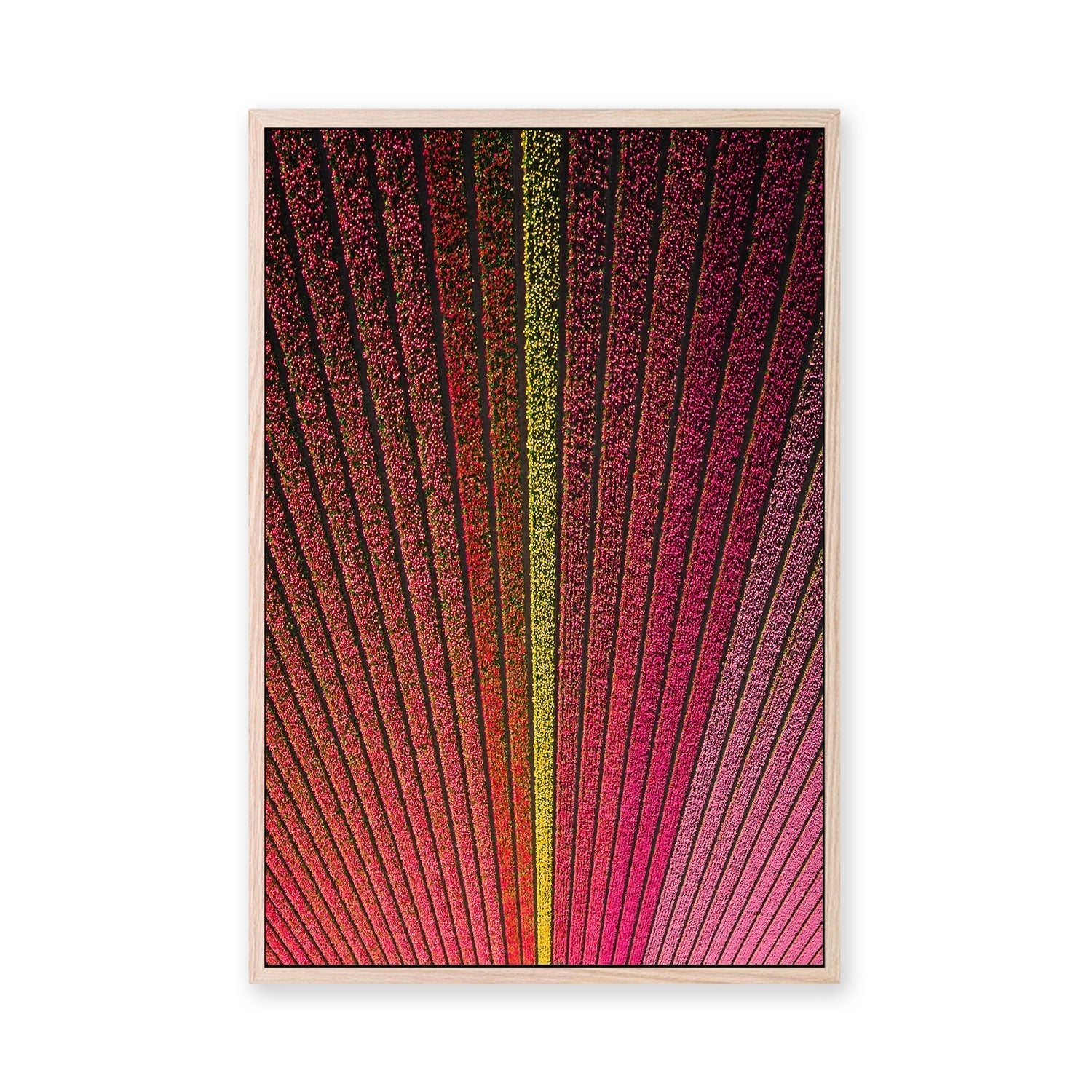 wall-art-print-canvas-poster-framed-Odd One Out , By Max Lissendon-GIOIA-WALL-ART